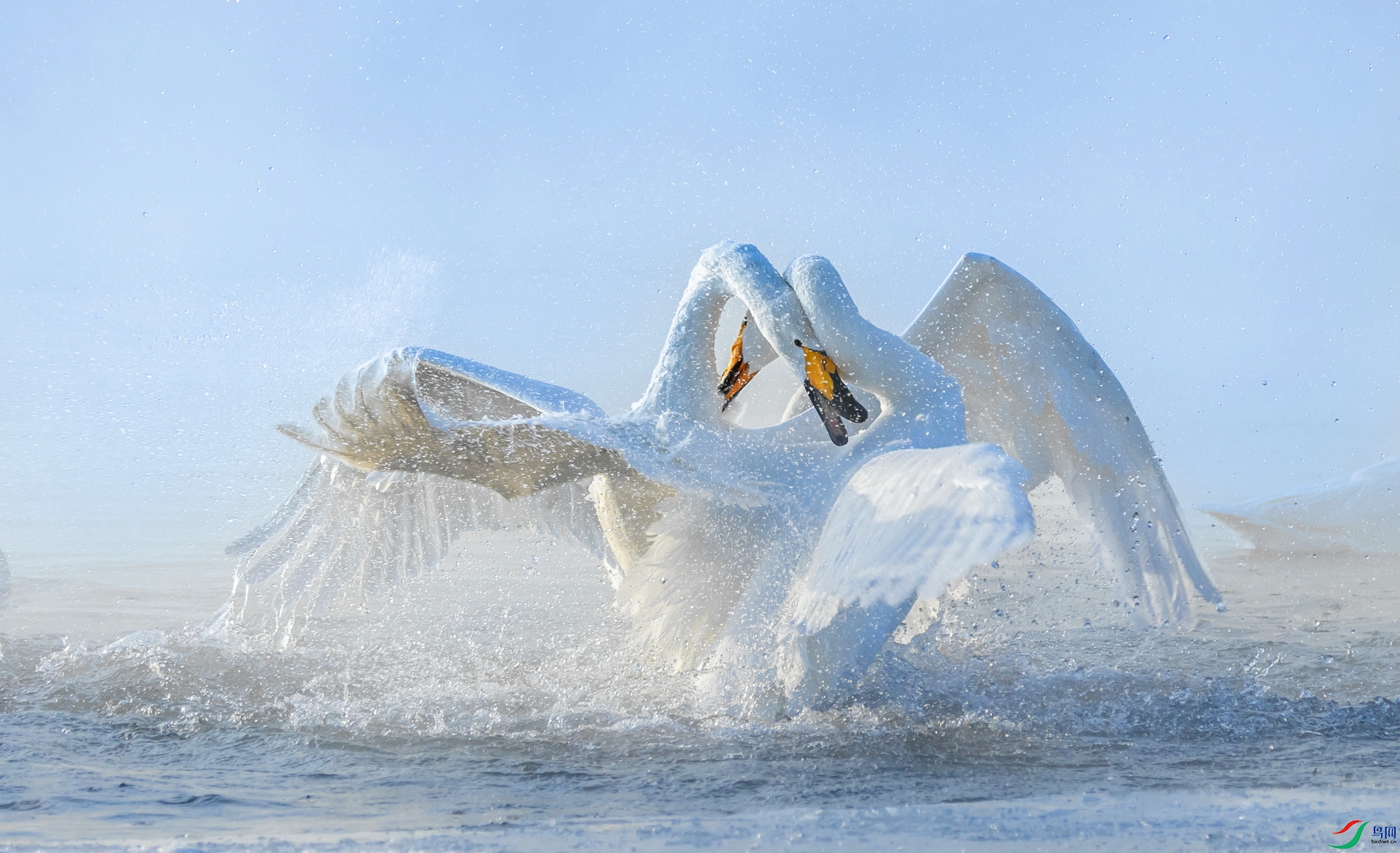 ��������  ����ʽ.jpg