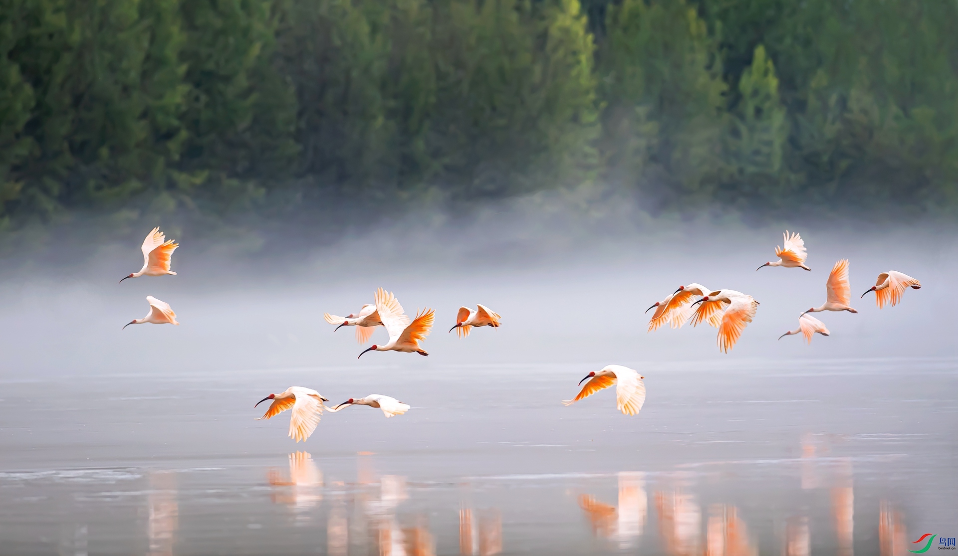 ��������q��  �ϱ��´�xa.jpg