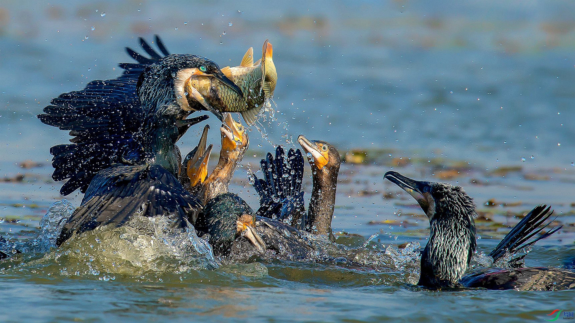 ��������  ��·.jpg