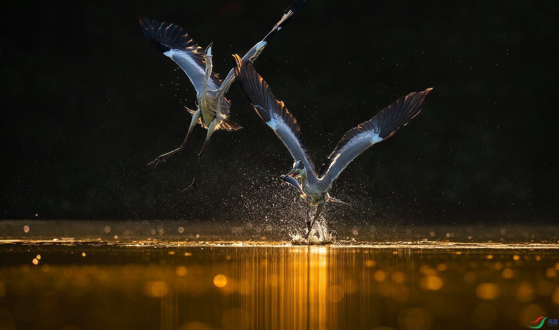 ������˫�ۡ�  ƽ��.jpg