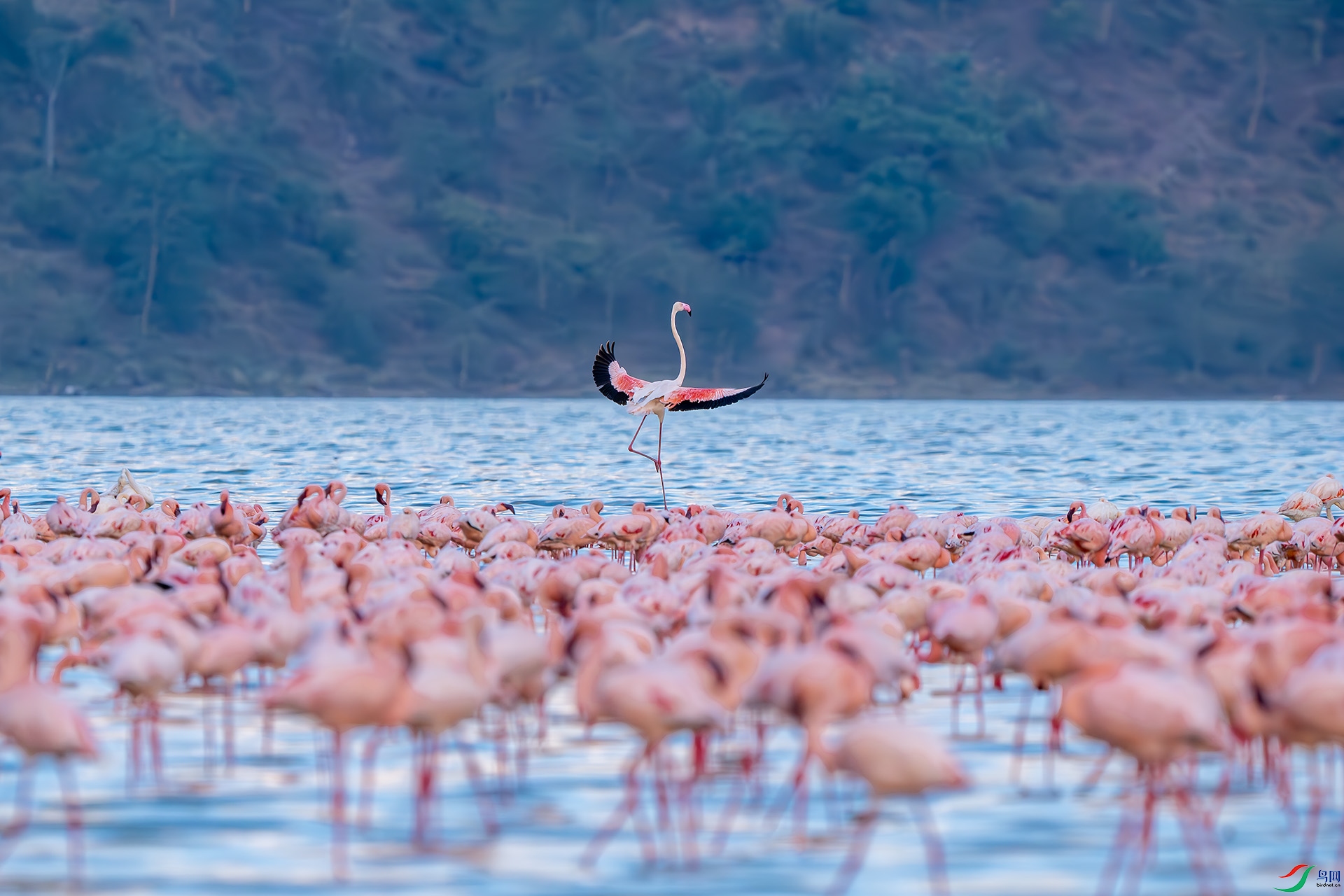 �����衷  ����18.jpg