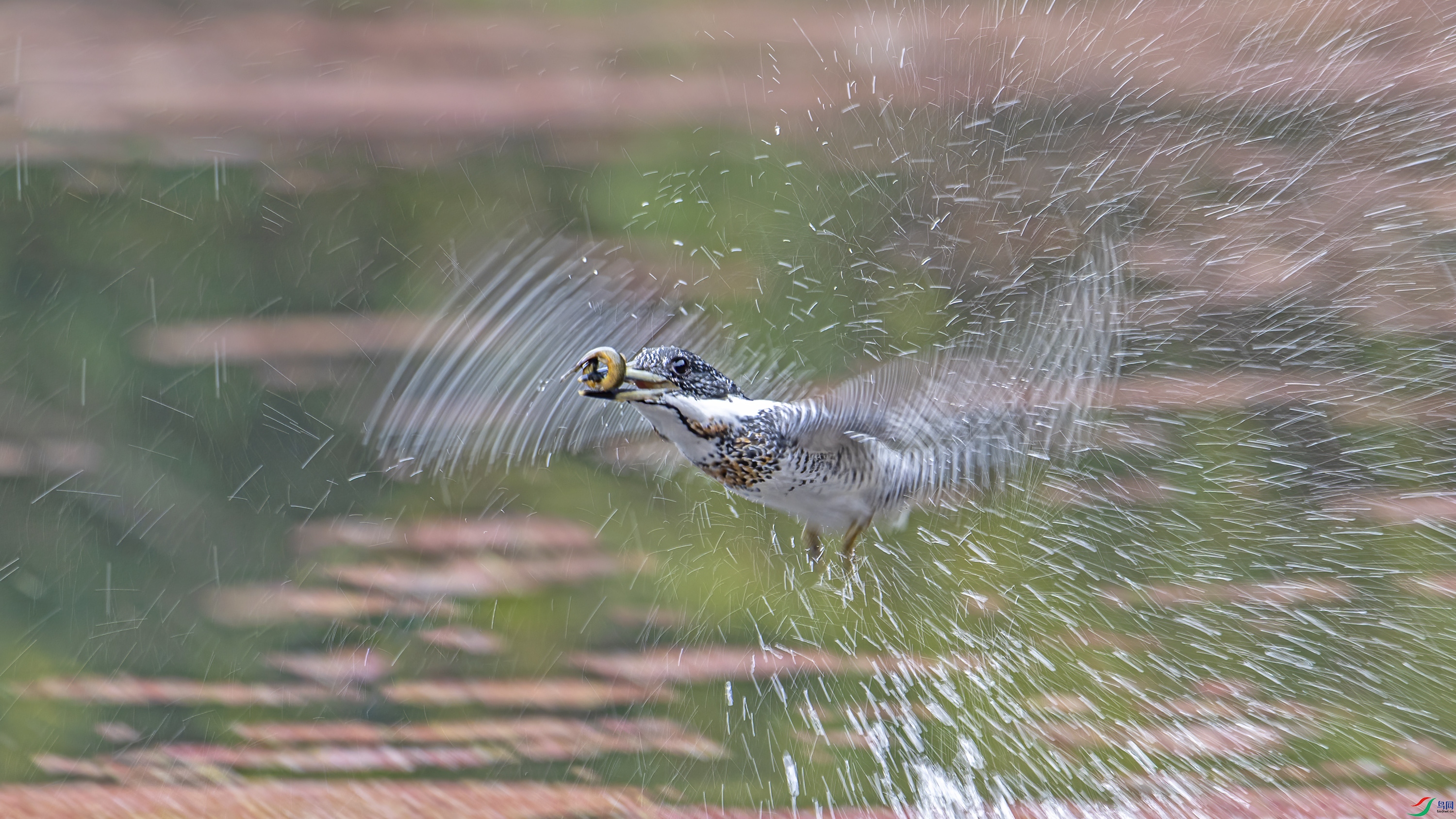 ���ڶ�𰡷  wh�ϳ�.jpg
