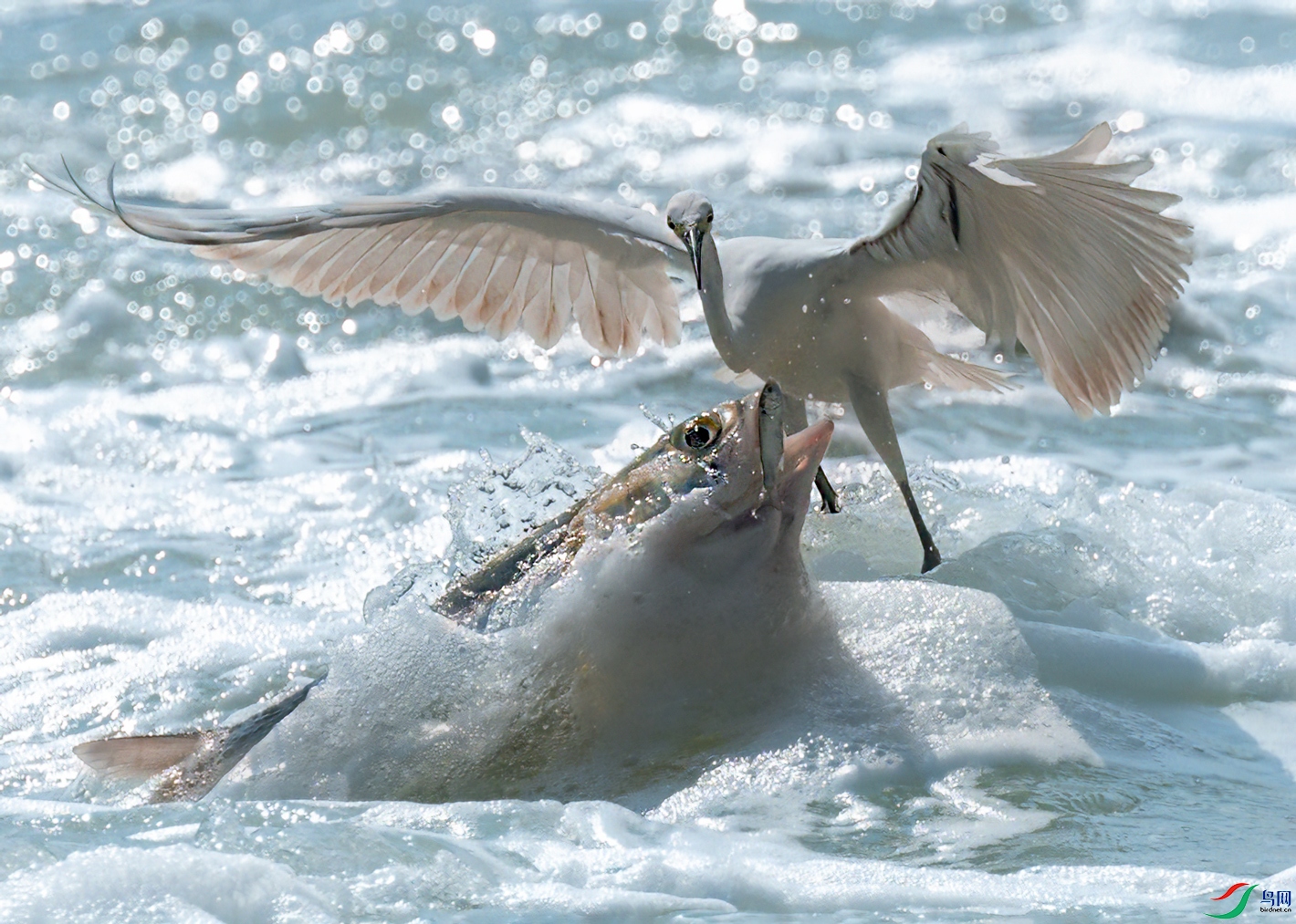 �������ѵá�  �ܴ�99.jpg