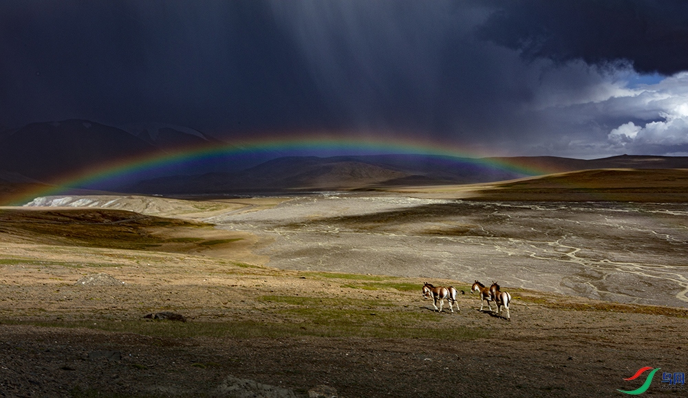 ����Ұ���١�  ʯ��.jpg