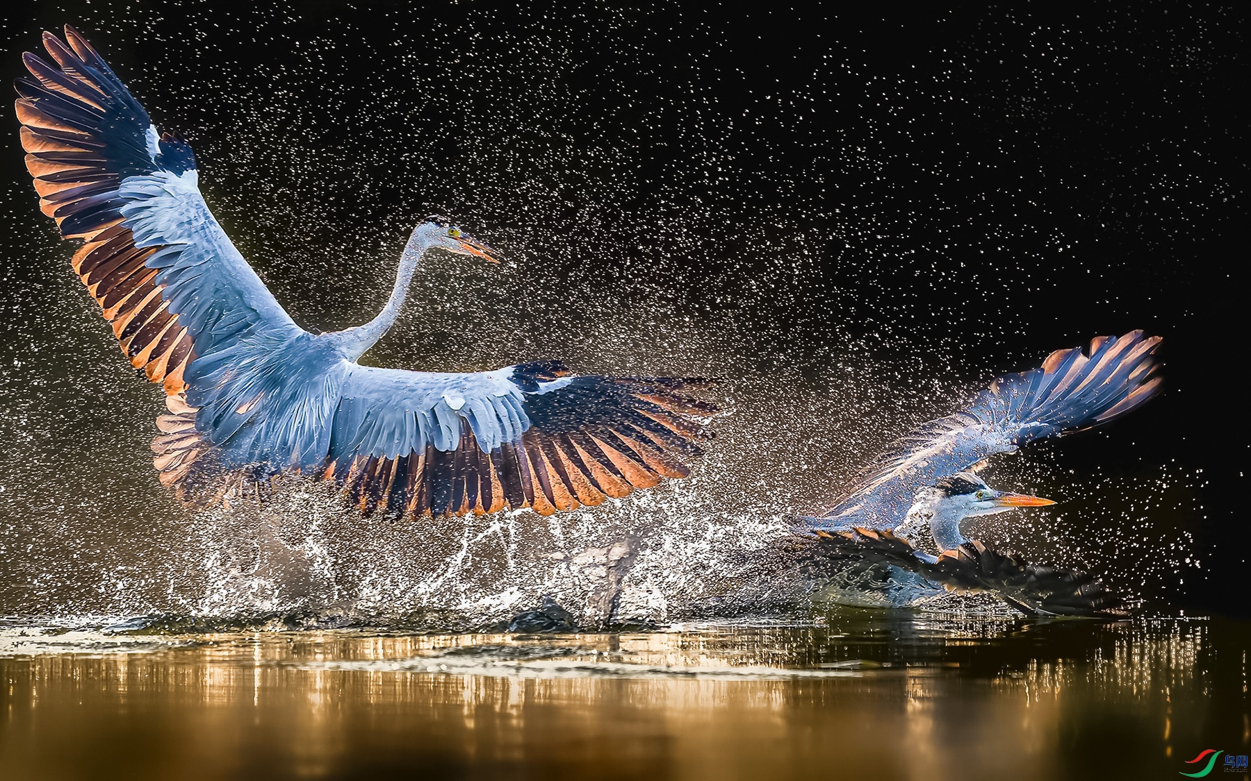 ����׷���ᡷ  ����Ӱ.jpg