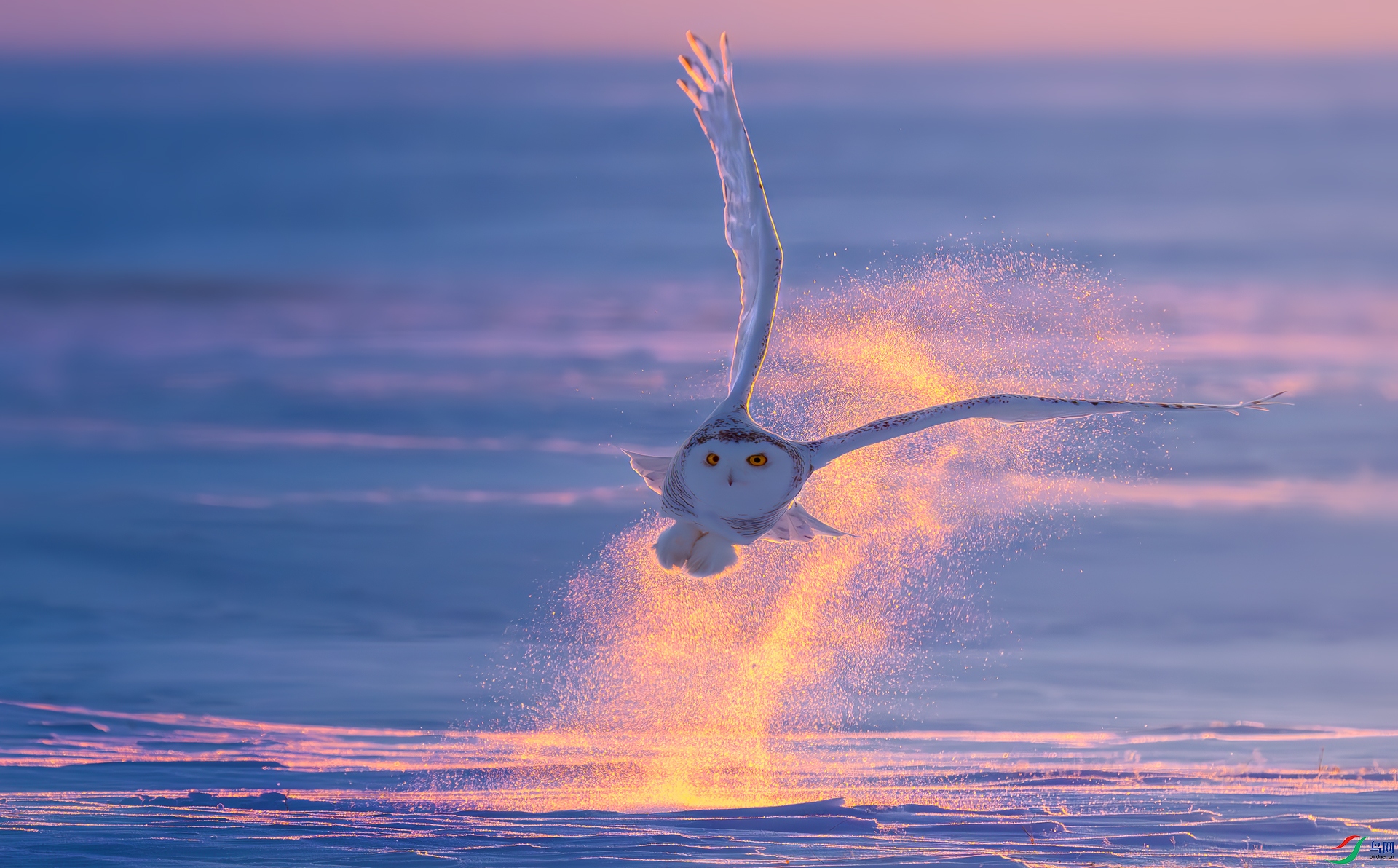 ��Ϧ����ѩ�^������  yujifeng.jpg