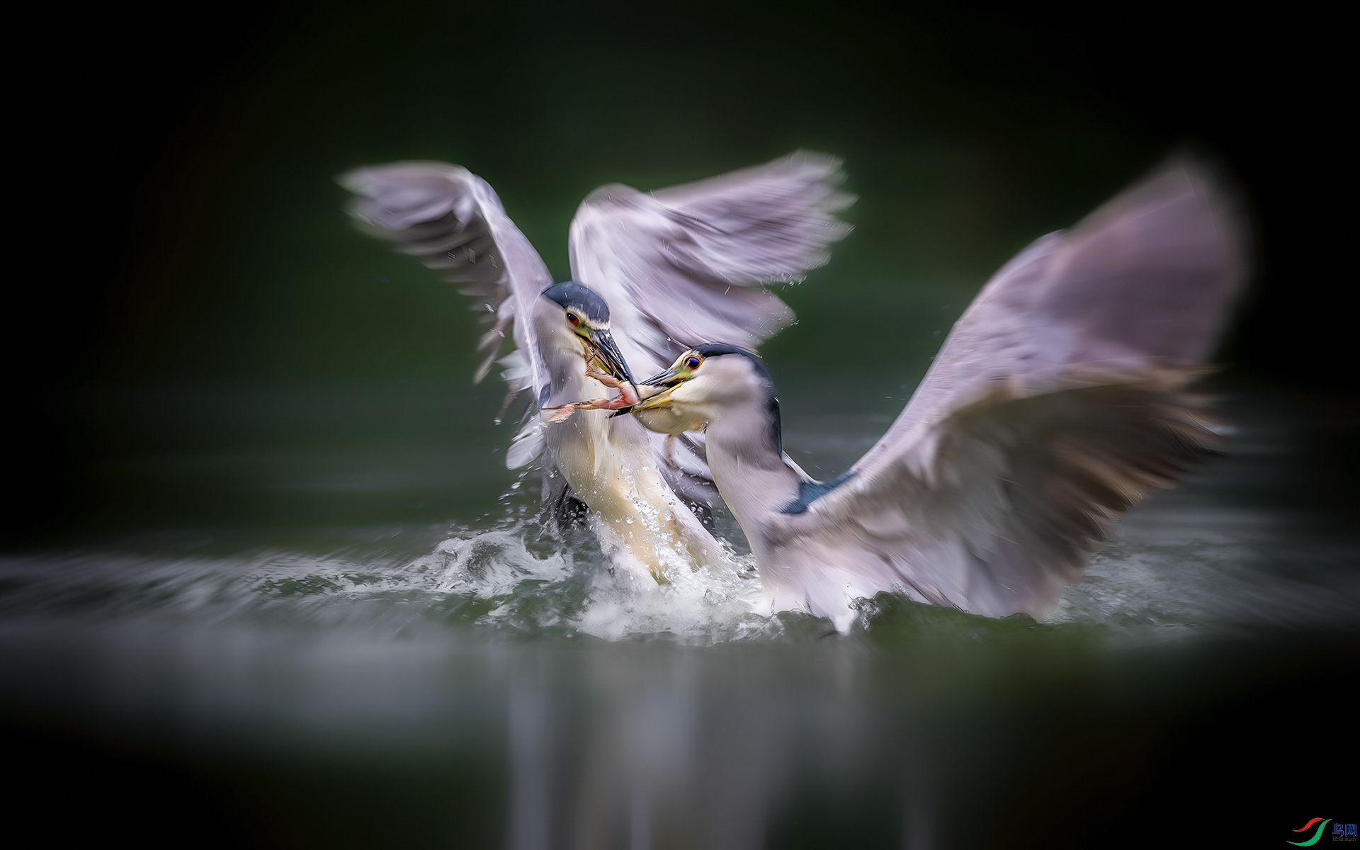 ��������  ����Ӱ.jpg