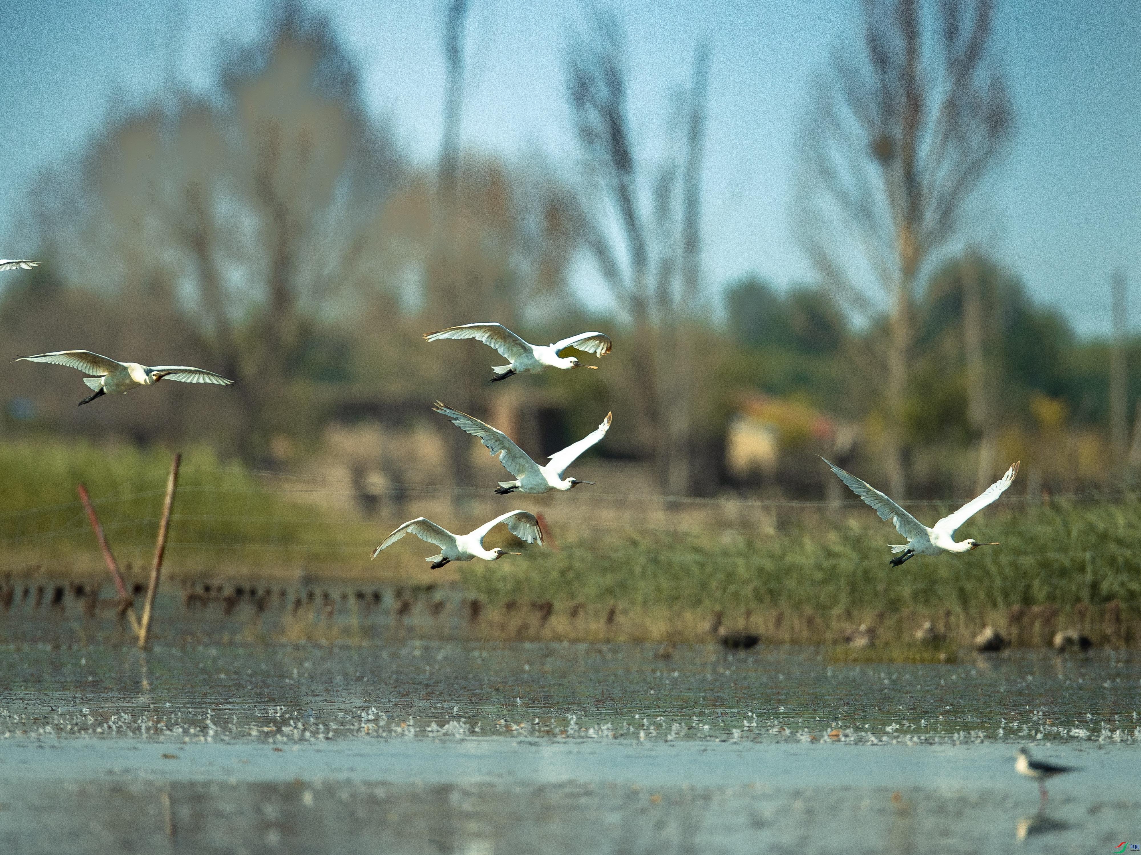 �������ش�ͷ�� A