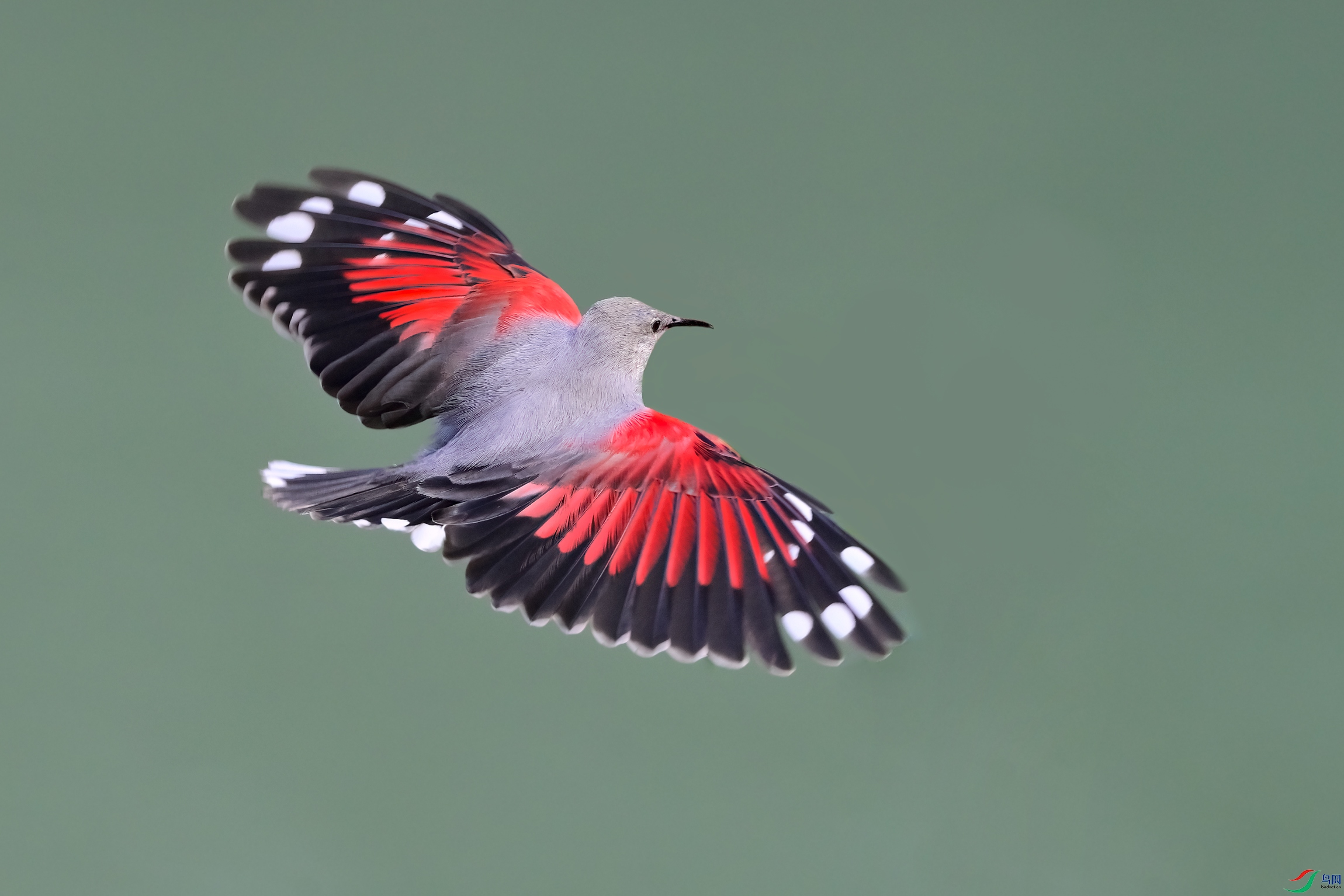 _DSC1434xx.jpg