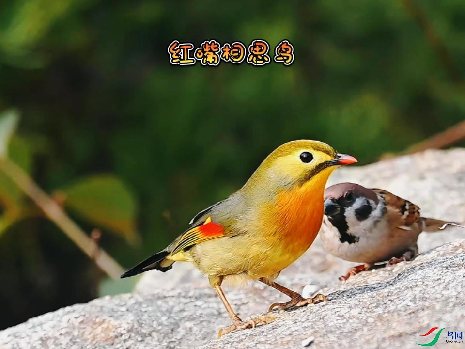 ������˼��