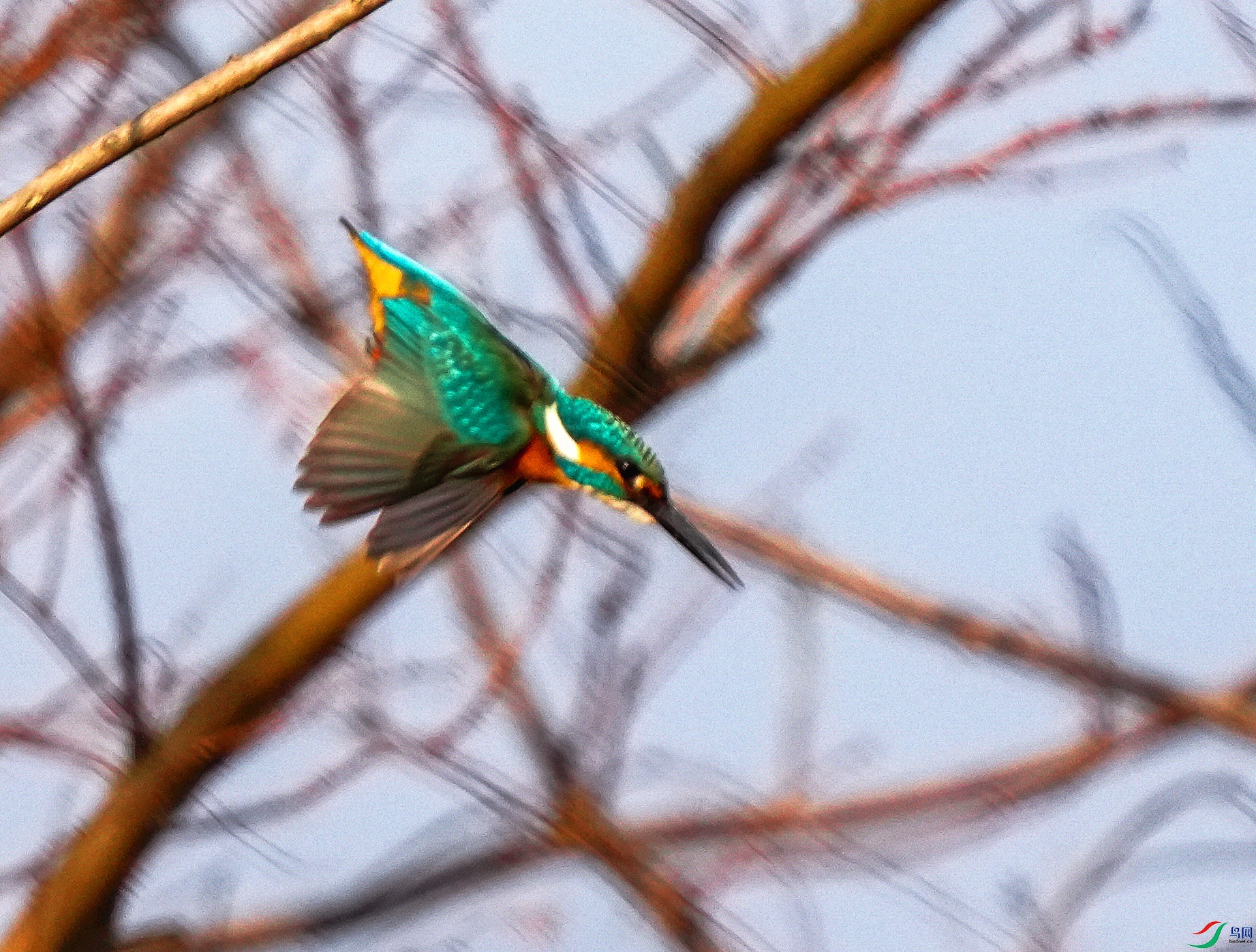 048DSC03349_1_����.jpg