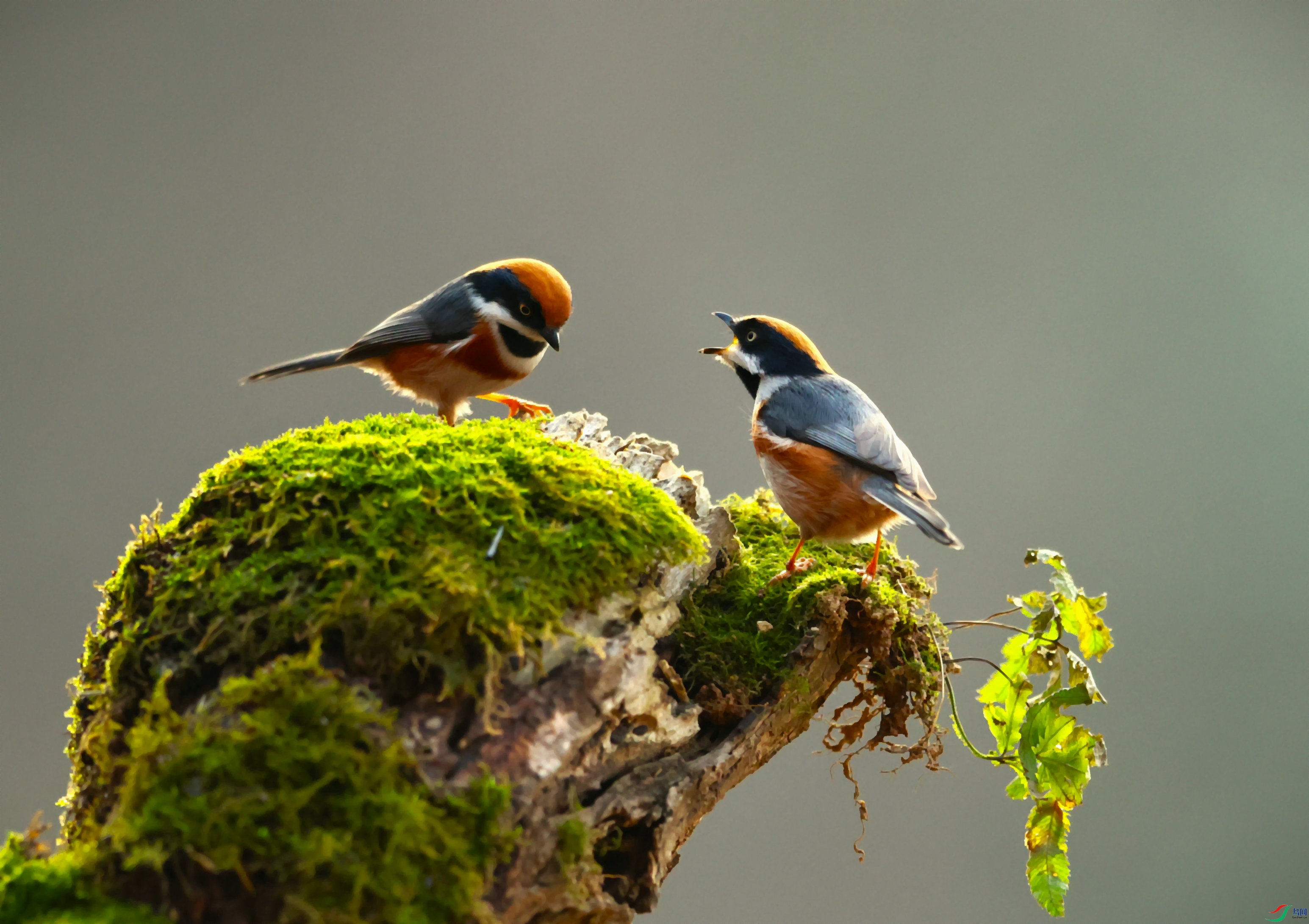 ��ͷ 2024-01-13 �� 3A6956_����.JPG