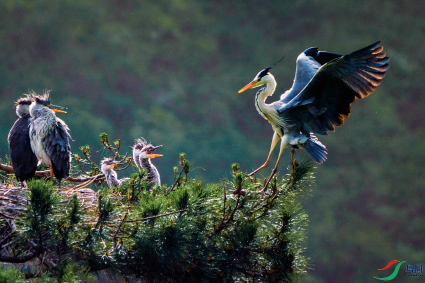 �һ����ˣ�DSC04457-2 ����-2.jpeg