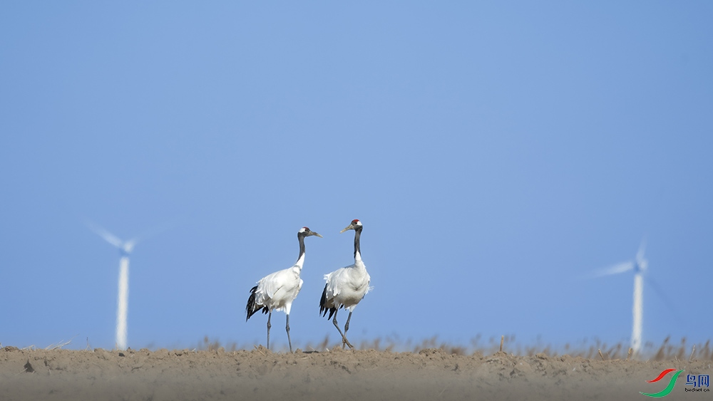 ��г��̬.jpg