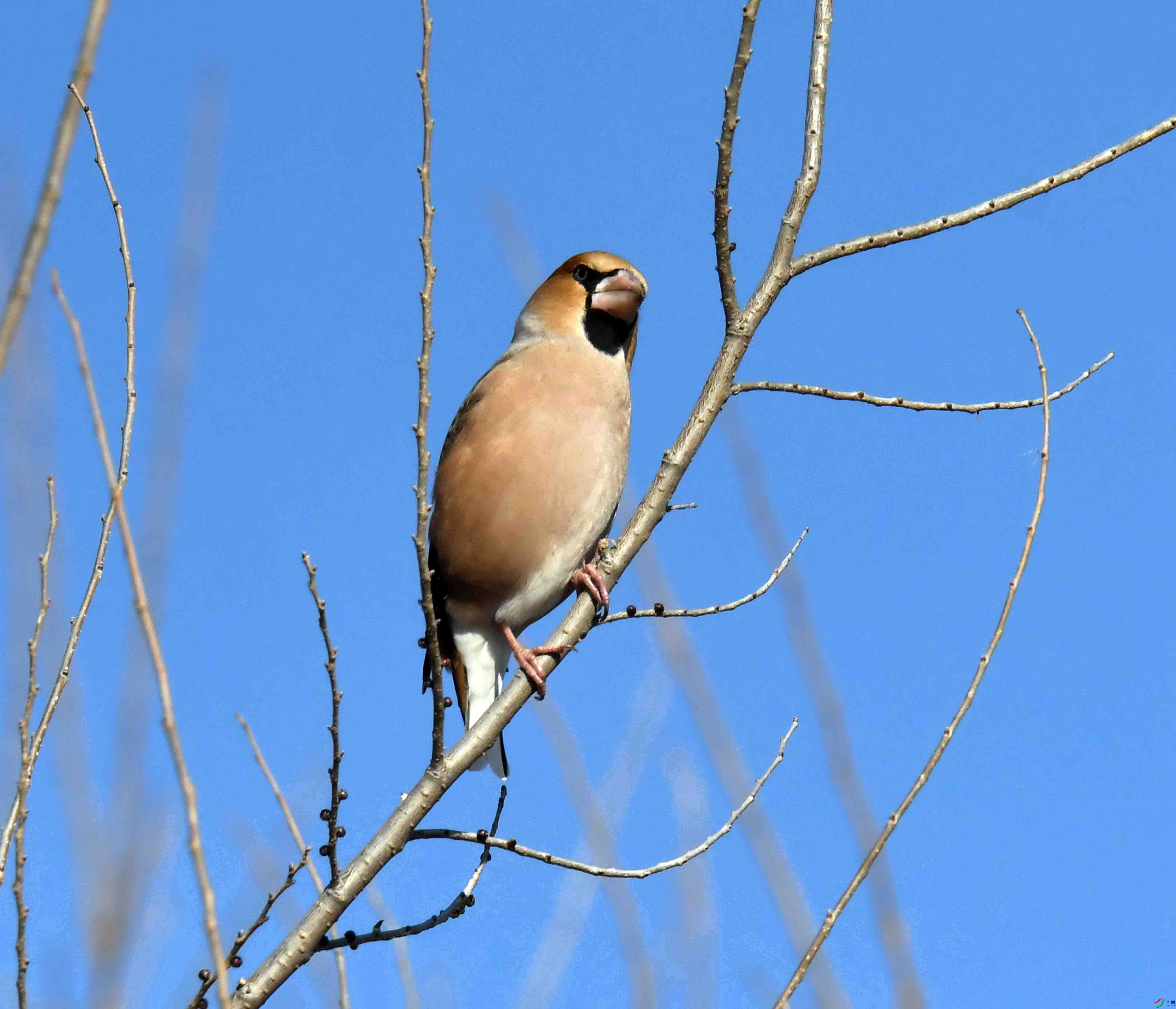 DSC_8847.JPG