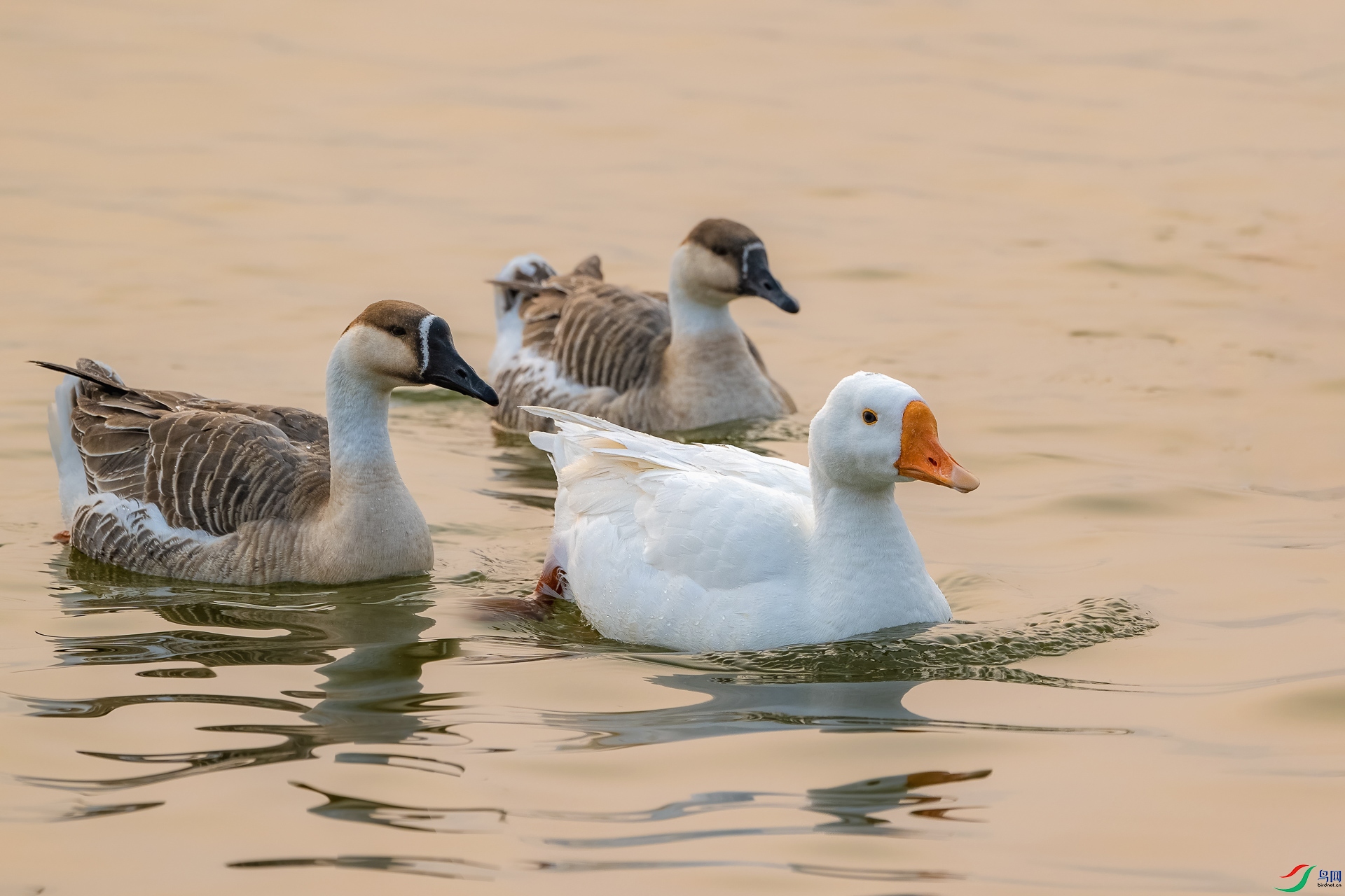 _DSC9861 ����_1.jpg