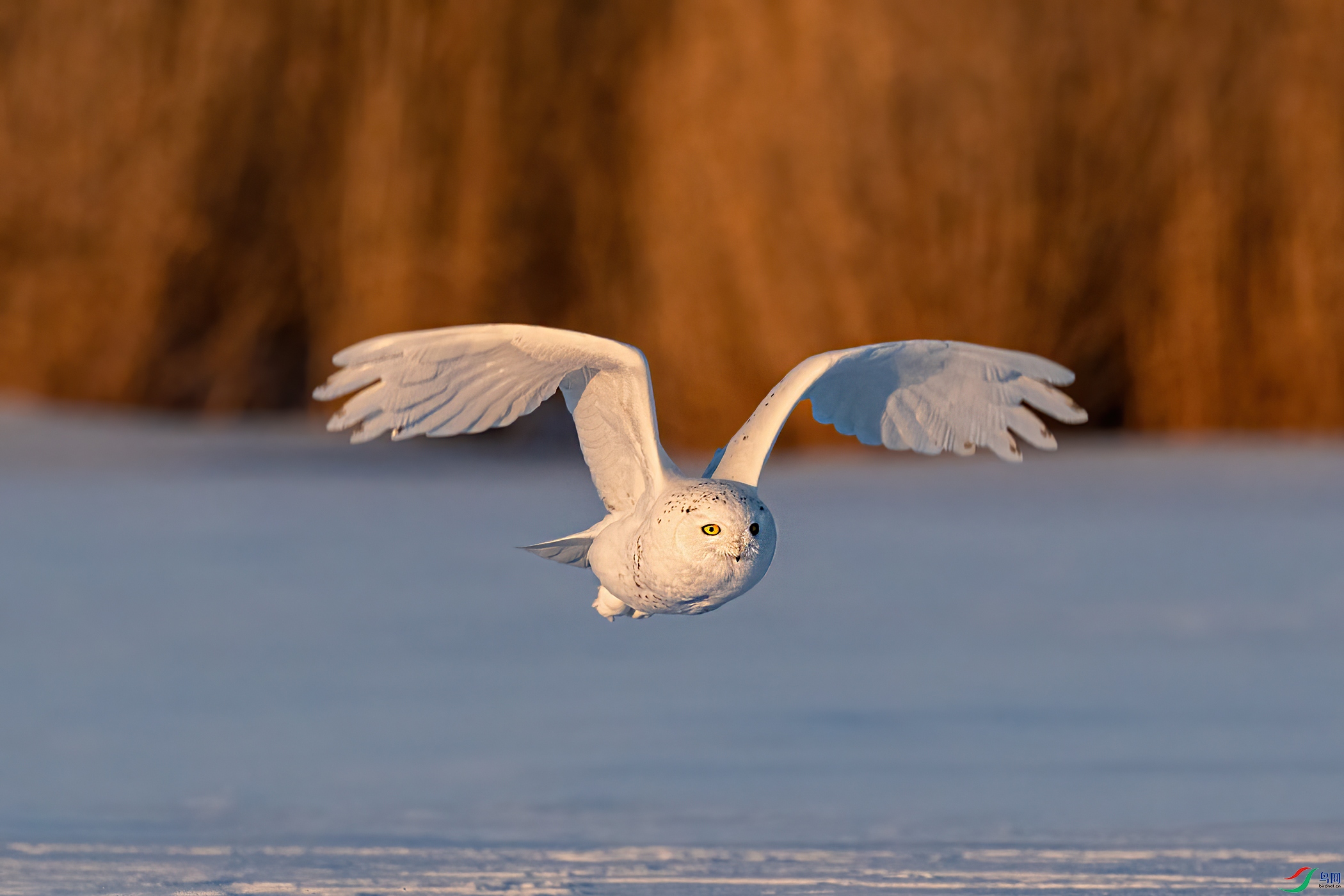DSC_4213.jpg