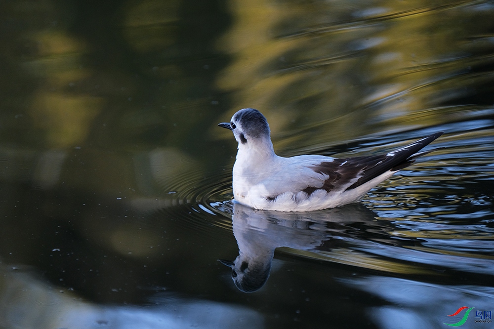 DSCF9281.1.jpg