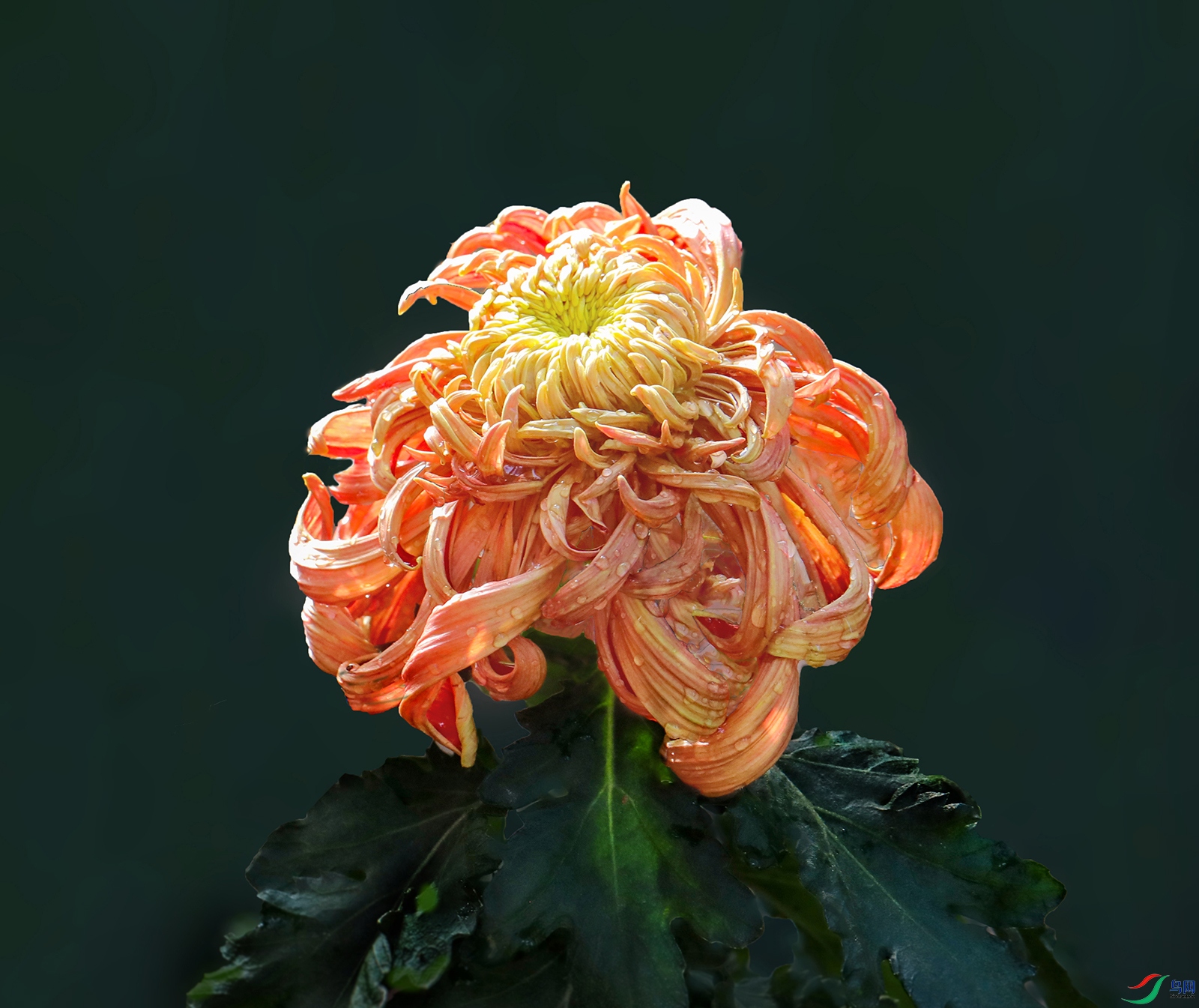 0000IMG_0908 ʱ������ 1000k.jpg