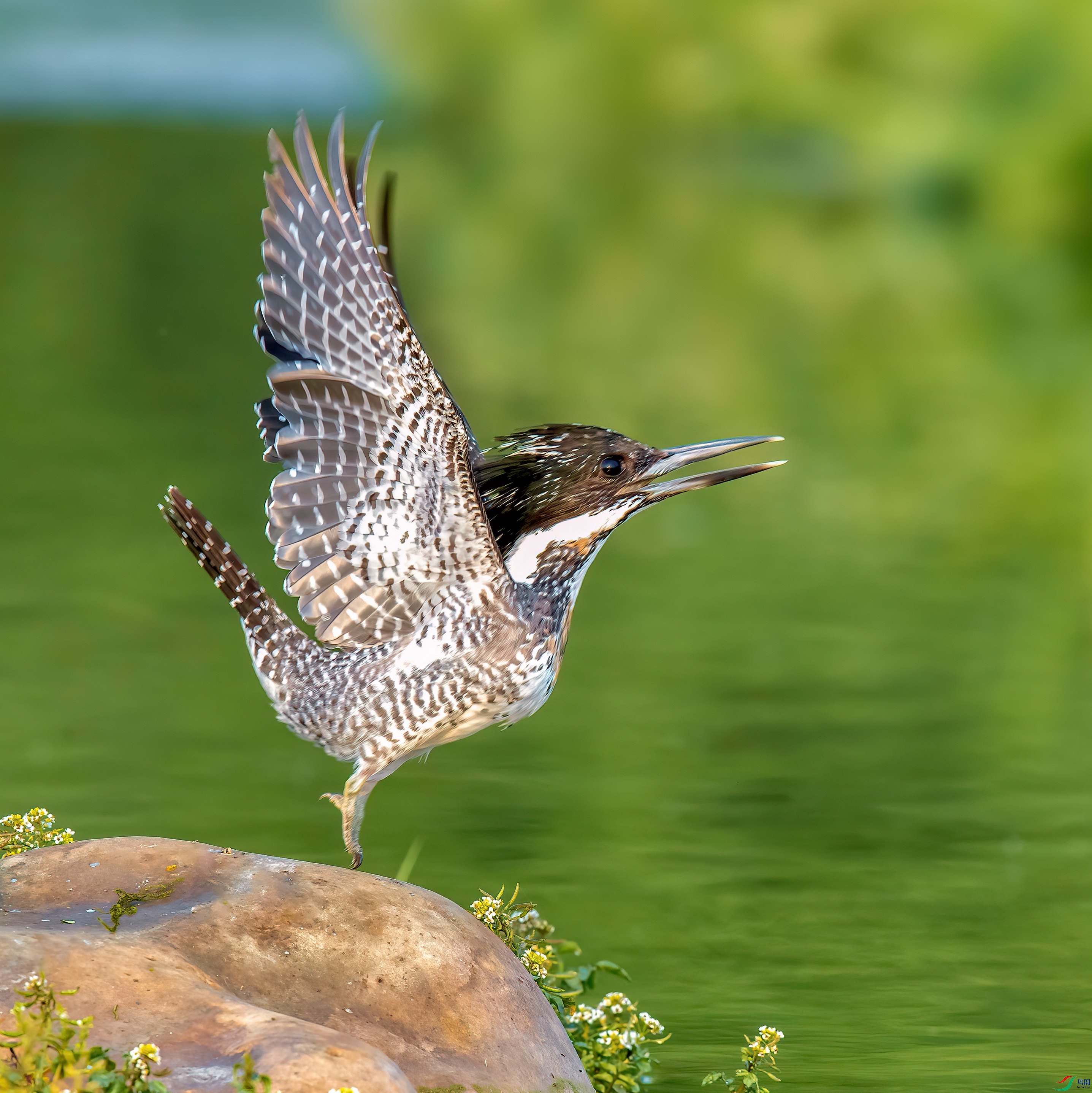 2020-05-21 ����_����.jpg