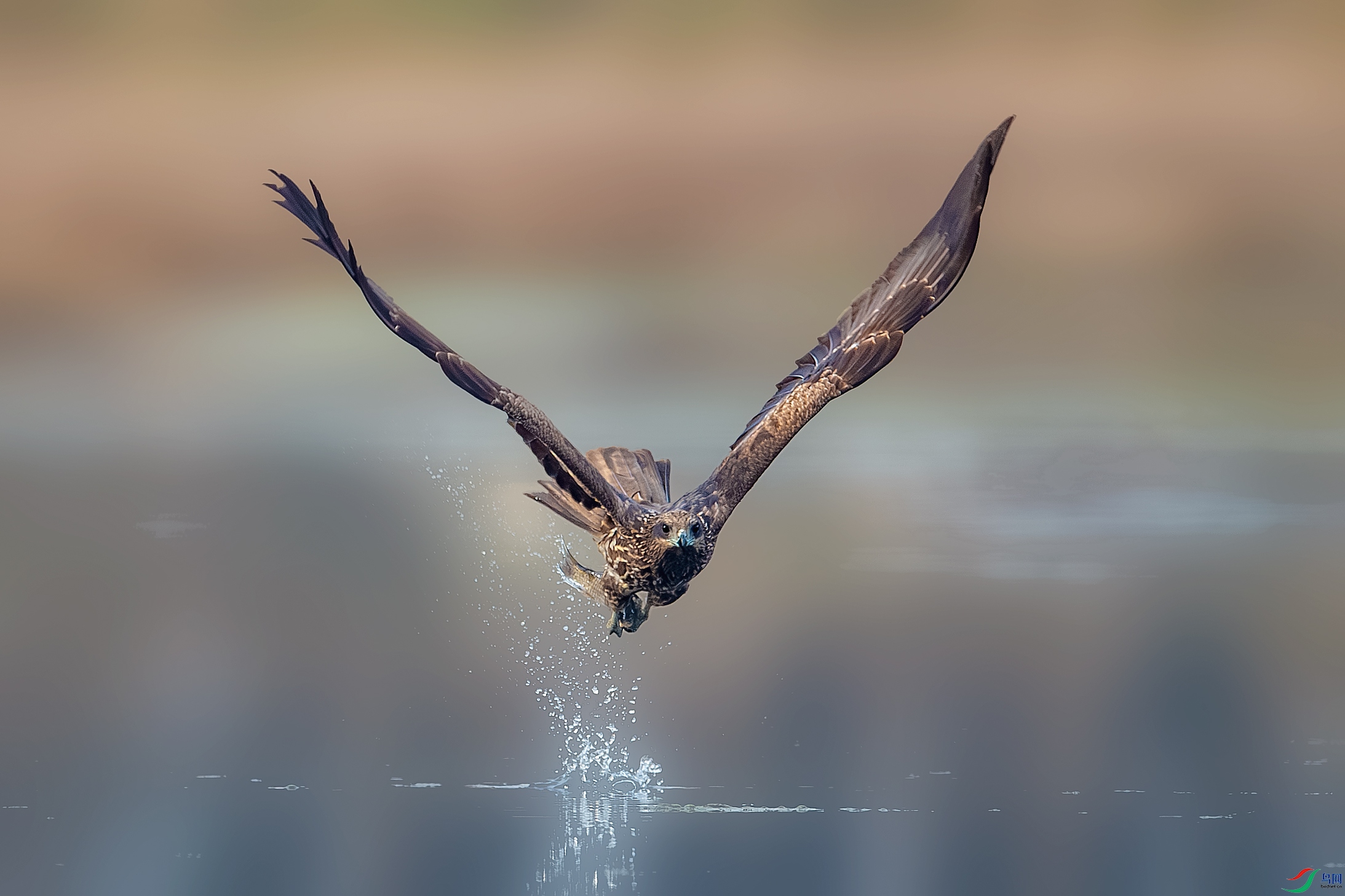 BE5I7669-����ǿ-NR ����.jpg