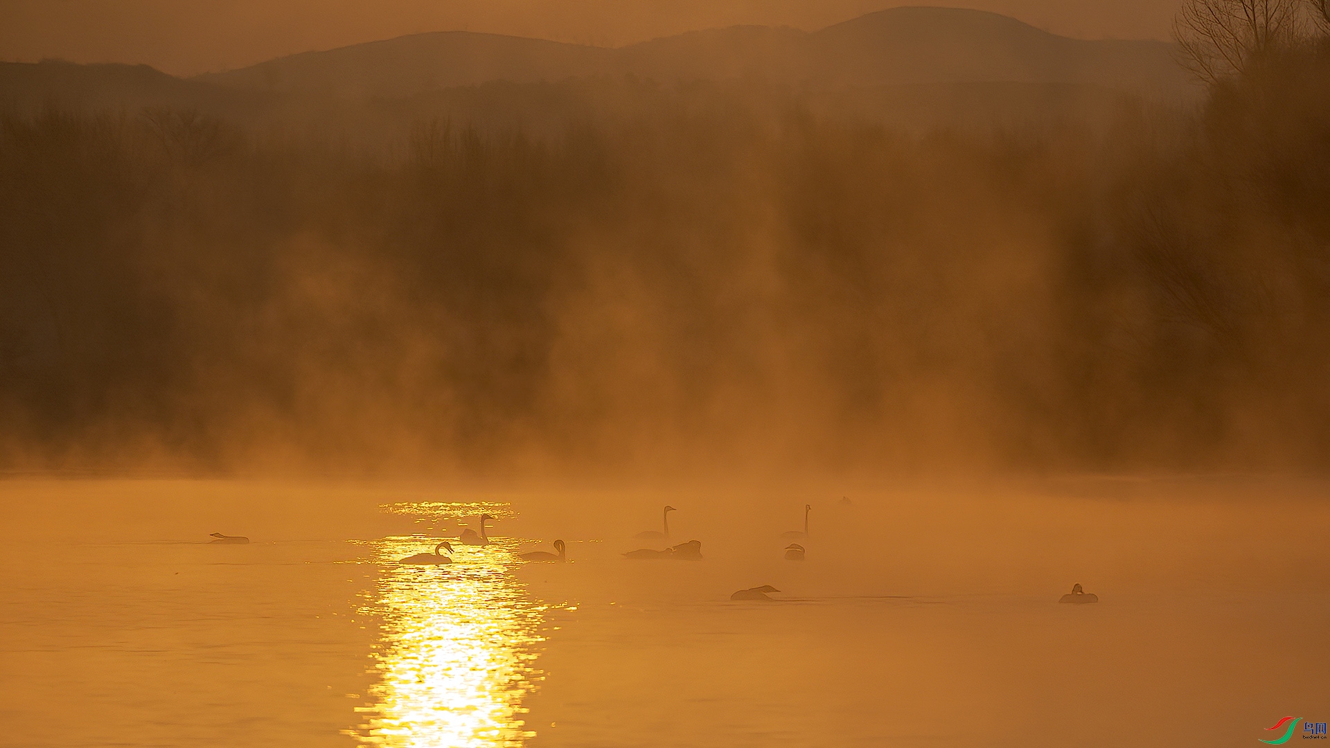 DSC_02nn78.jpg