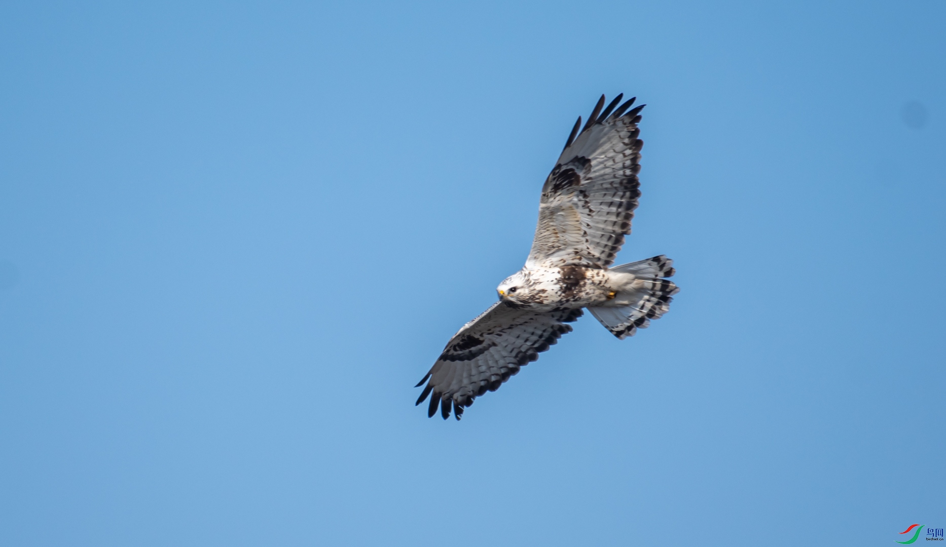 DSC_2715.jpg