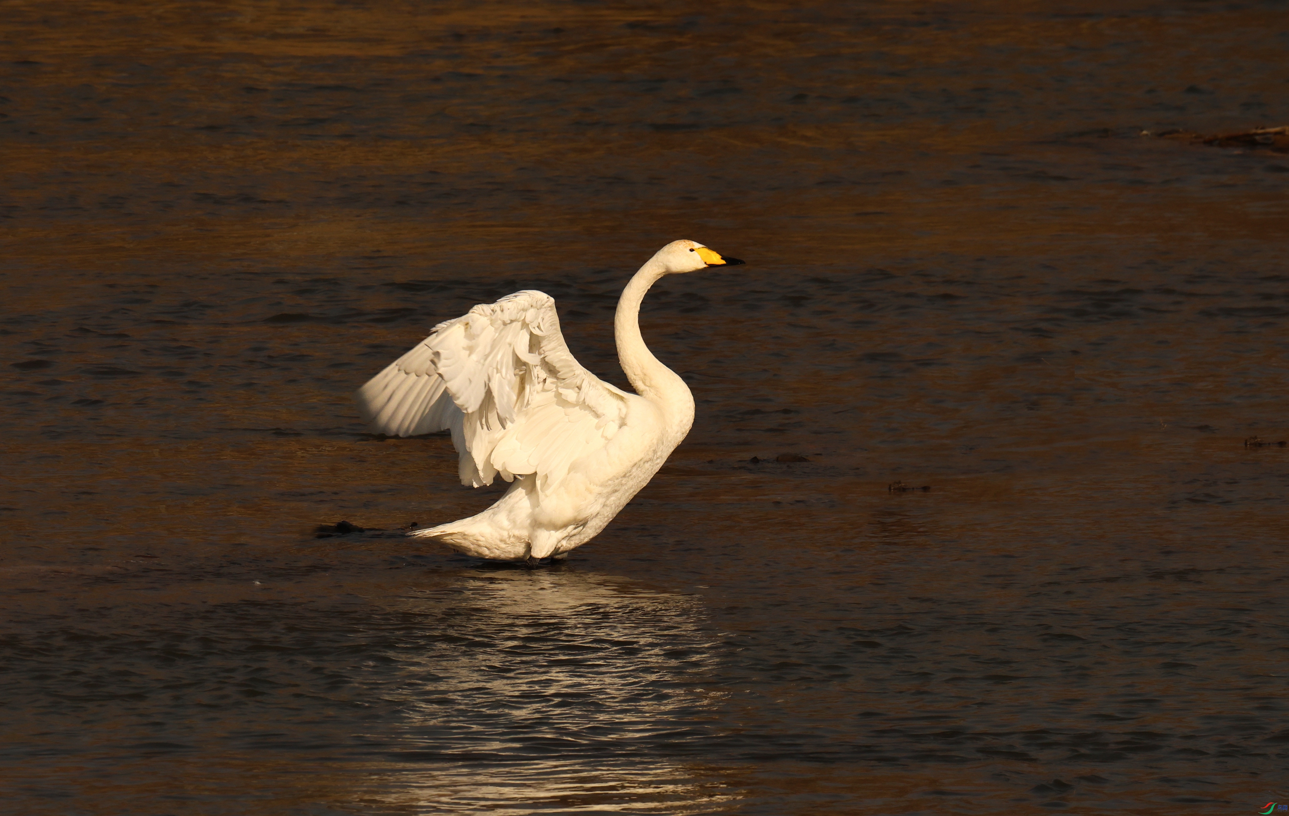 7X5A8112 - ����.JPG