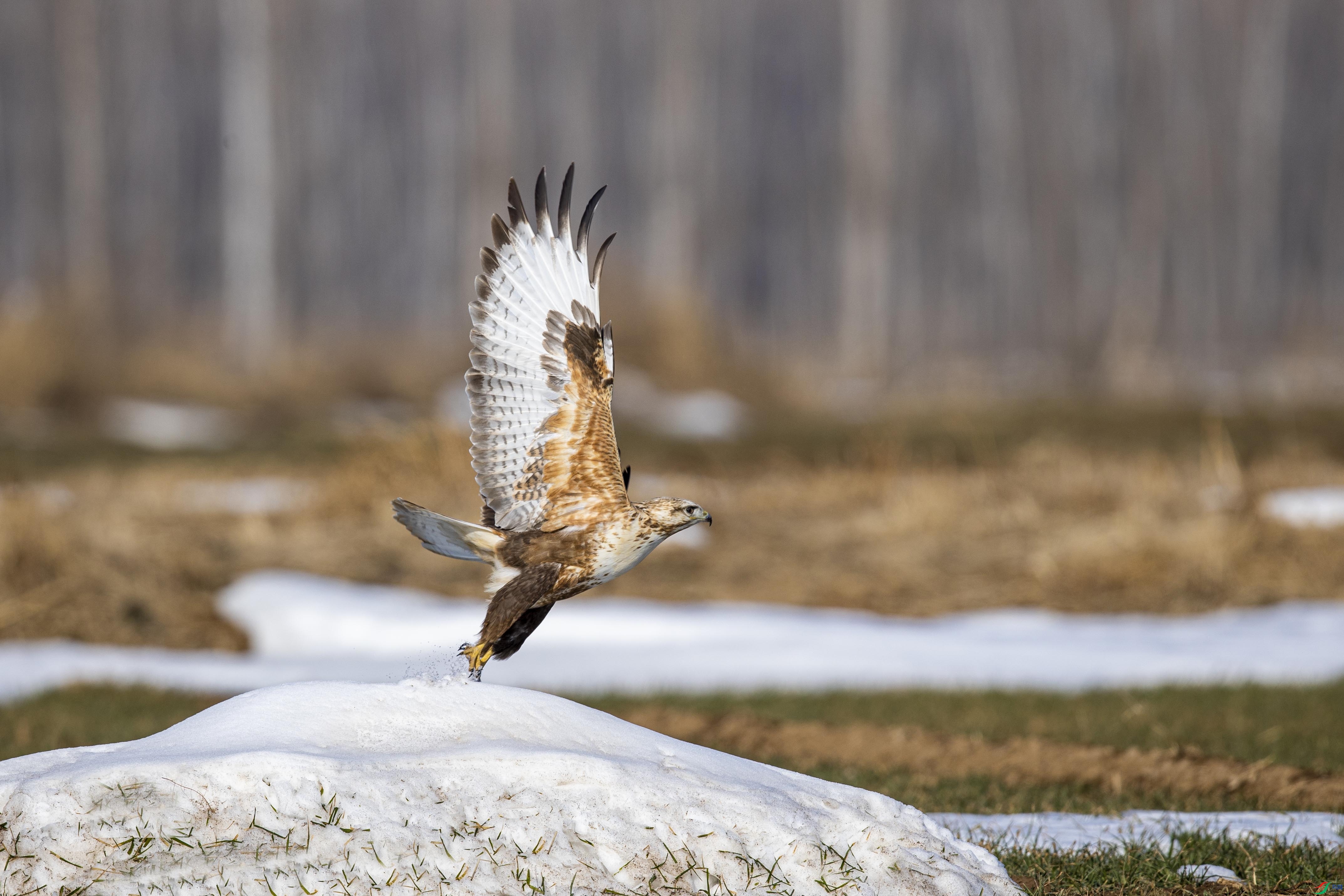 AN4I5017 ���� 2.jpg