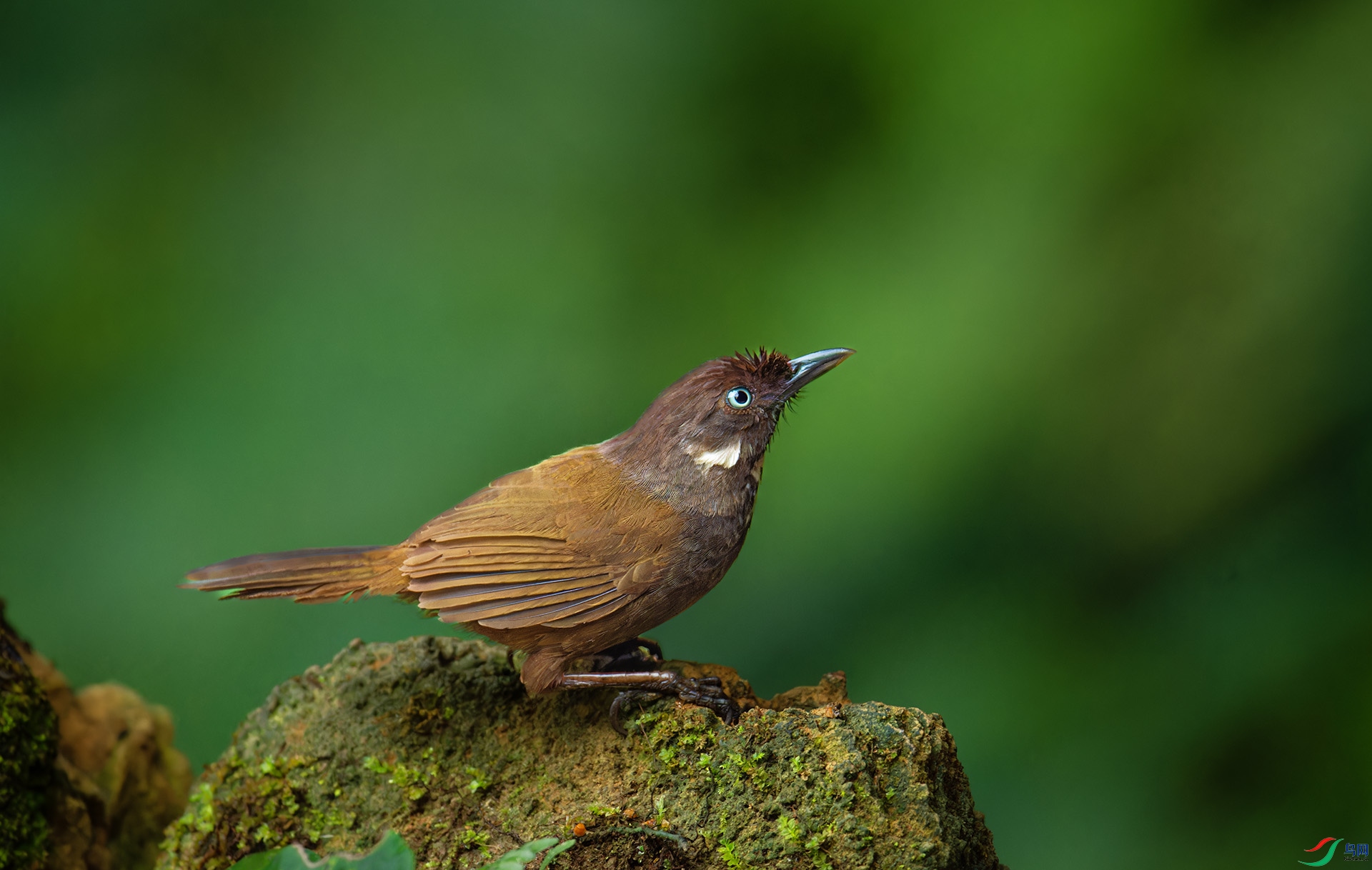 DSC_1457-1.jpg