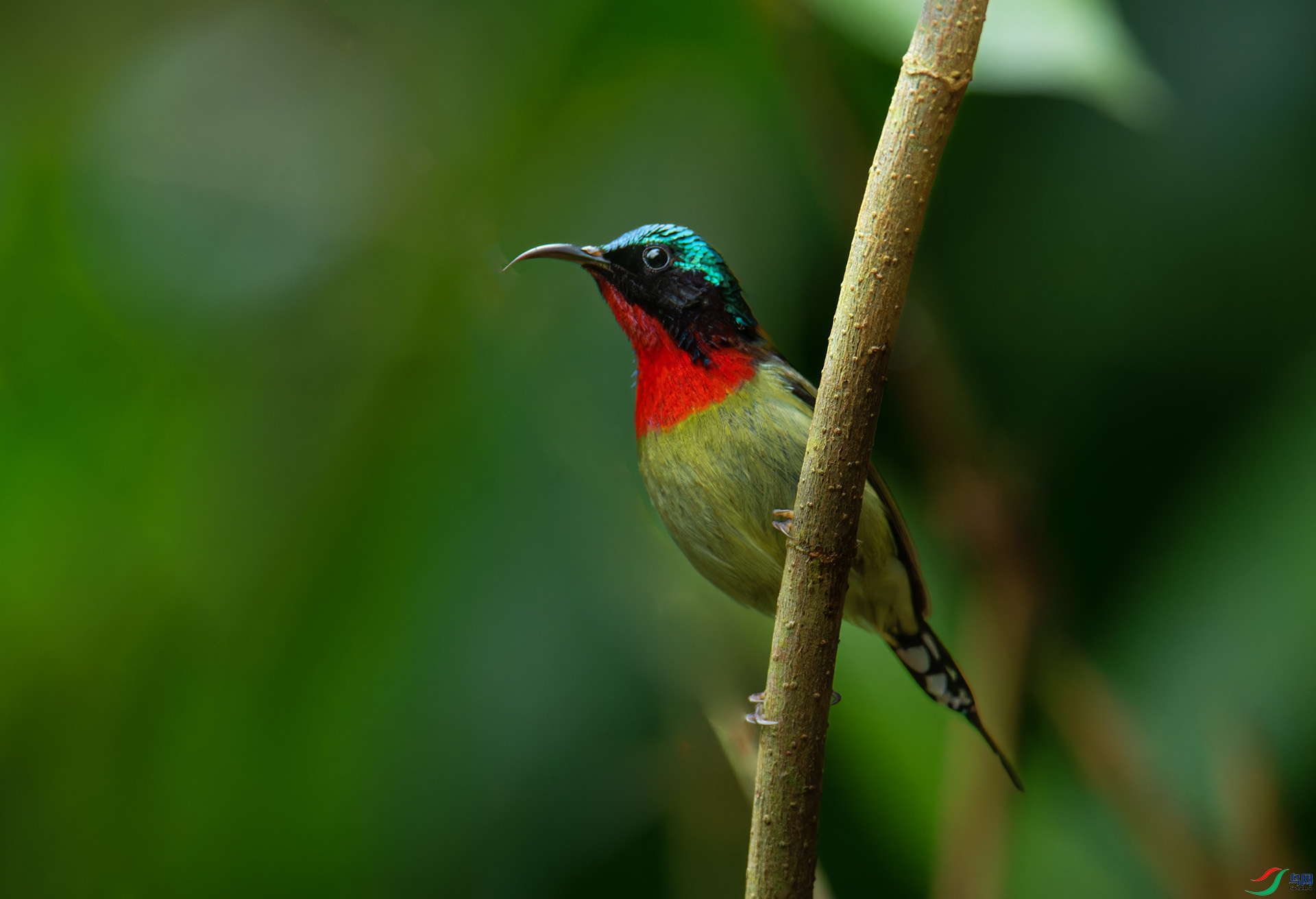 DSC_1624-1.jpg