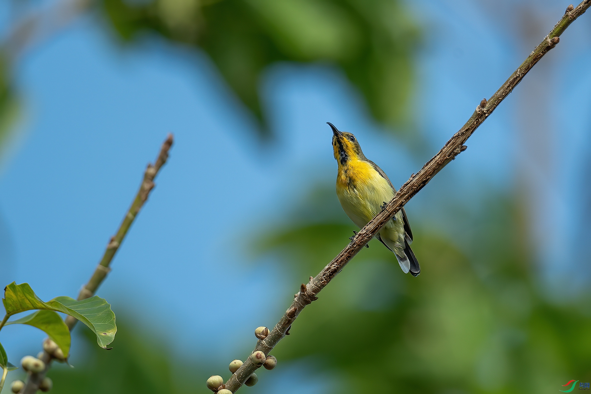 DSC_7940.jpg