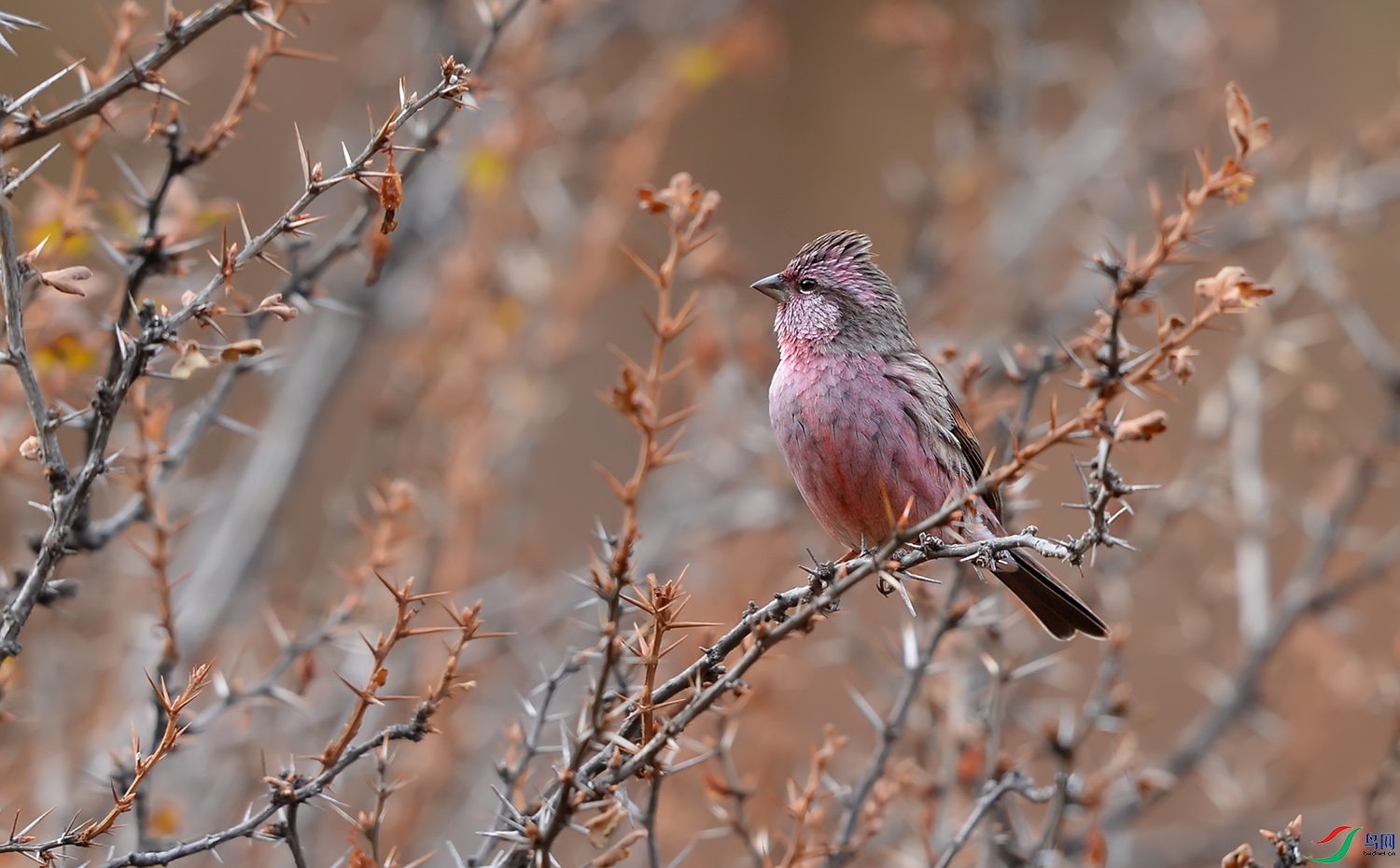 DSC_02891.jpg