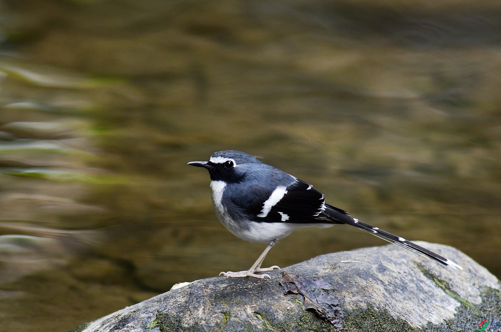 _D5D0207.jpg