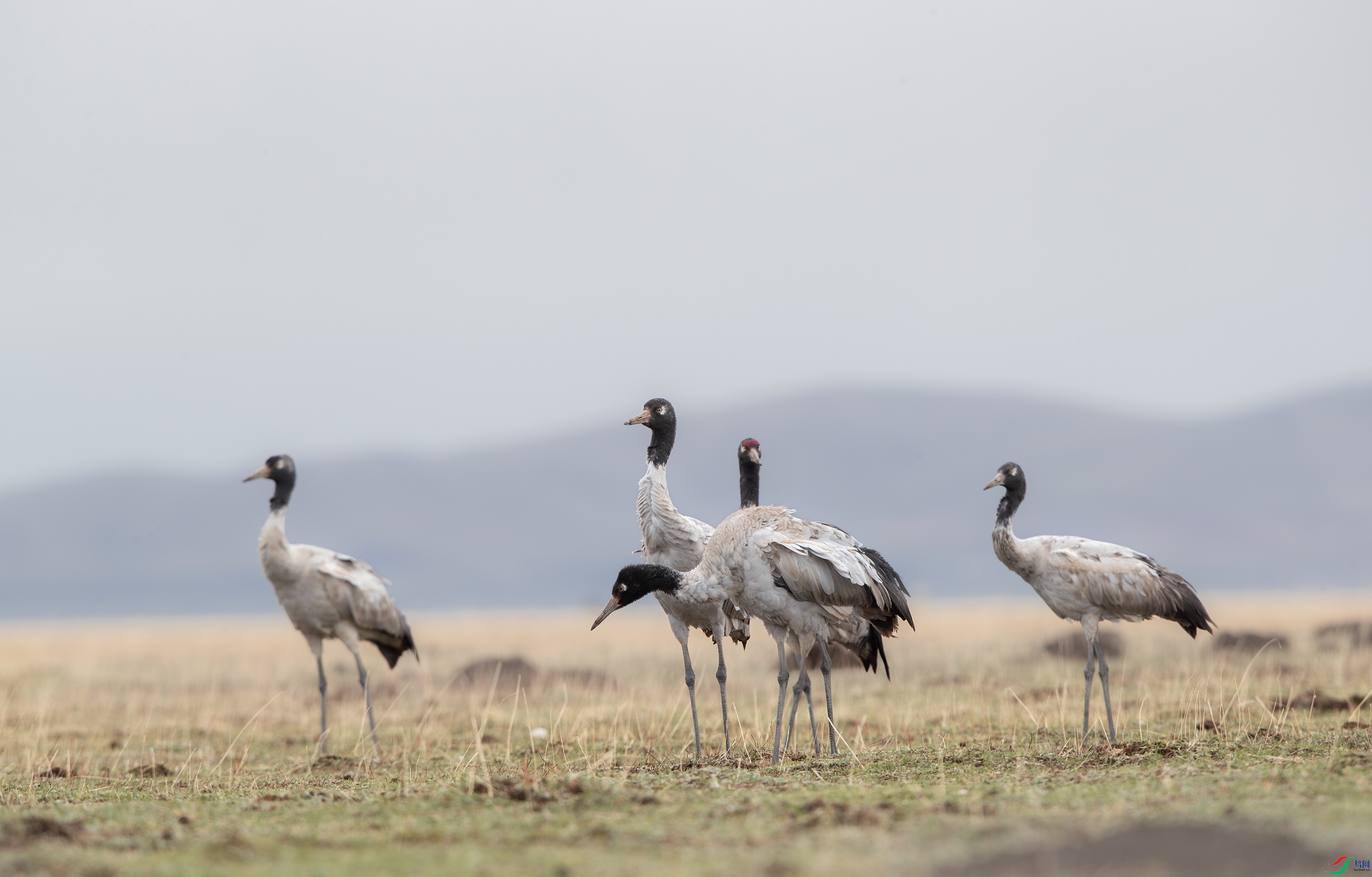 AY8I0006--NR ����.jpg