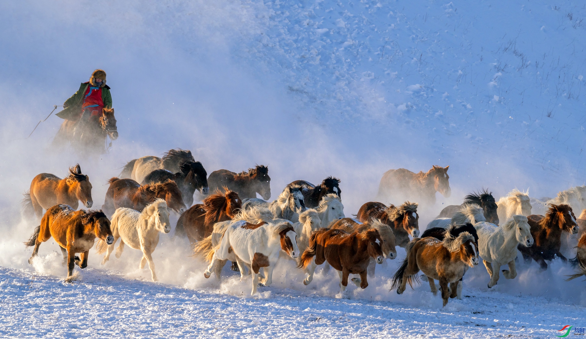 _DSC5190==1w.jpg