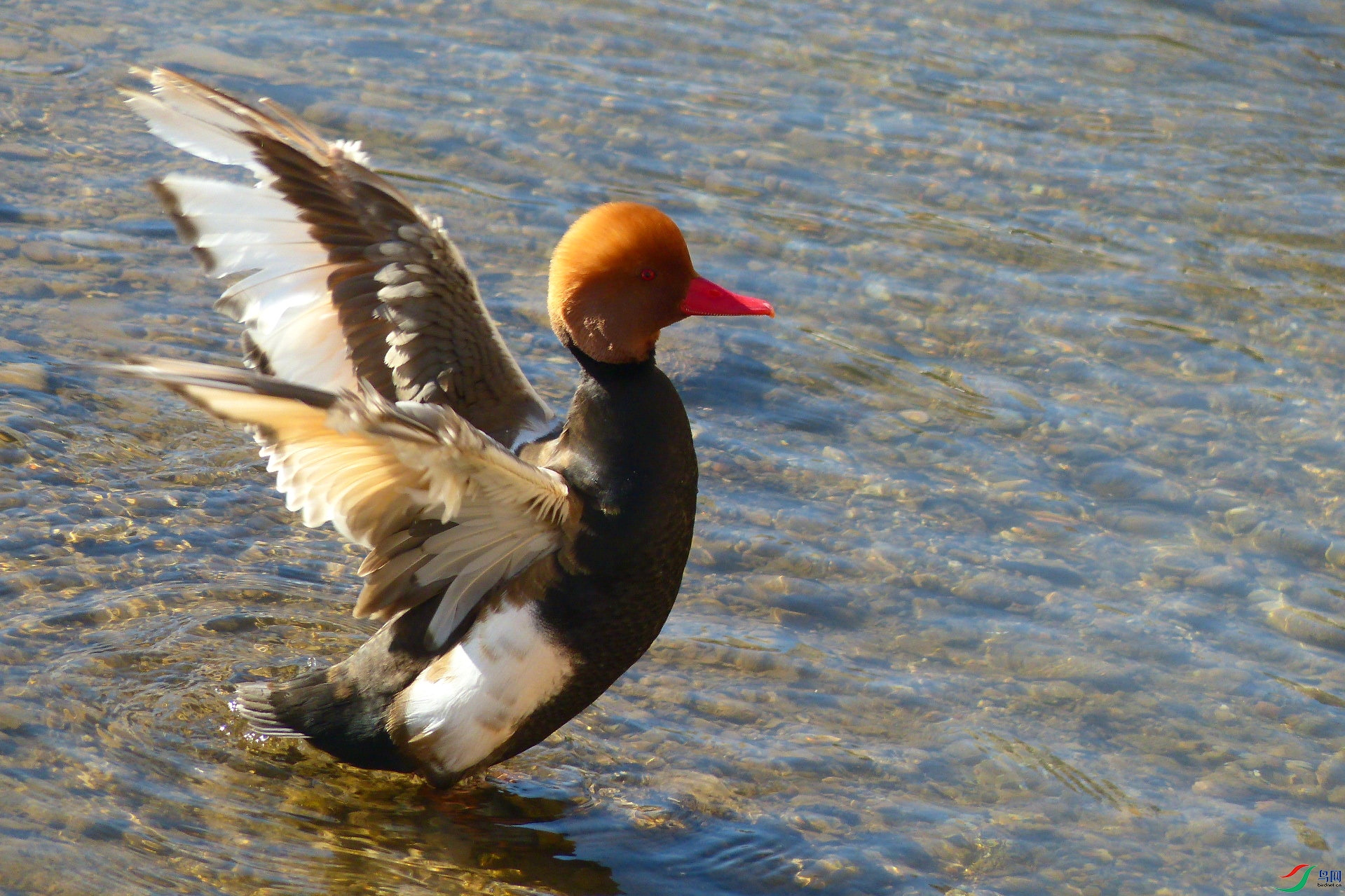 P2620260.jpg