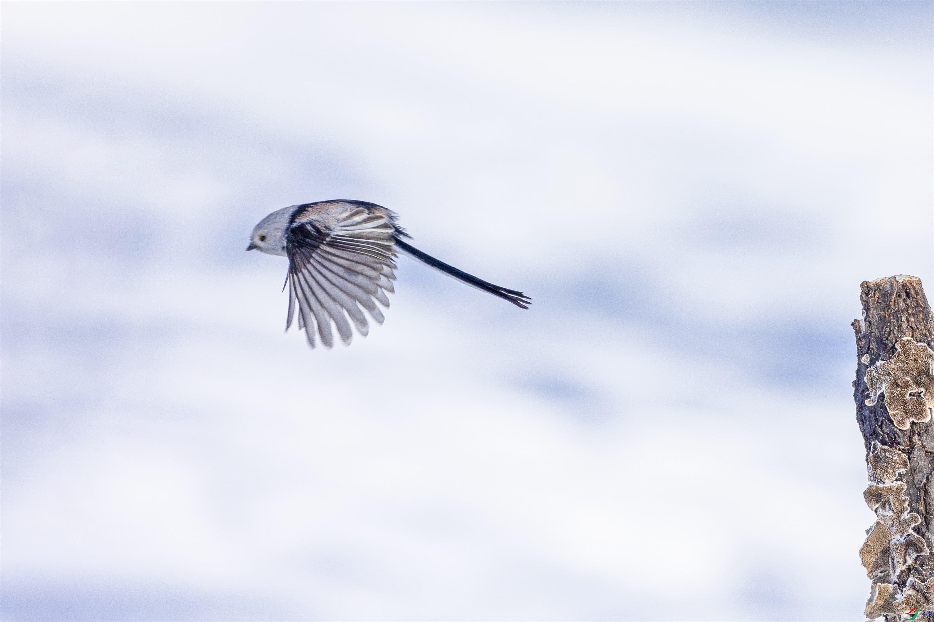 1K3A2821 ����1.jpg