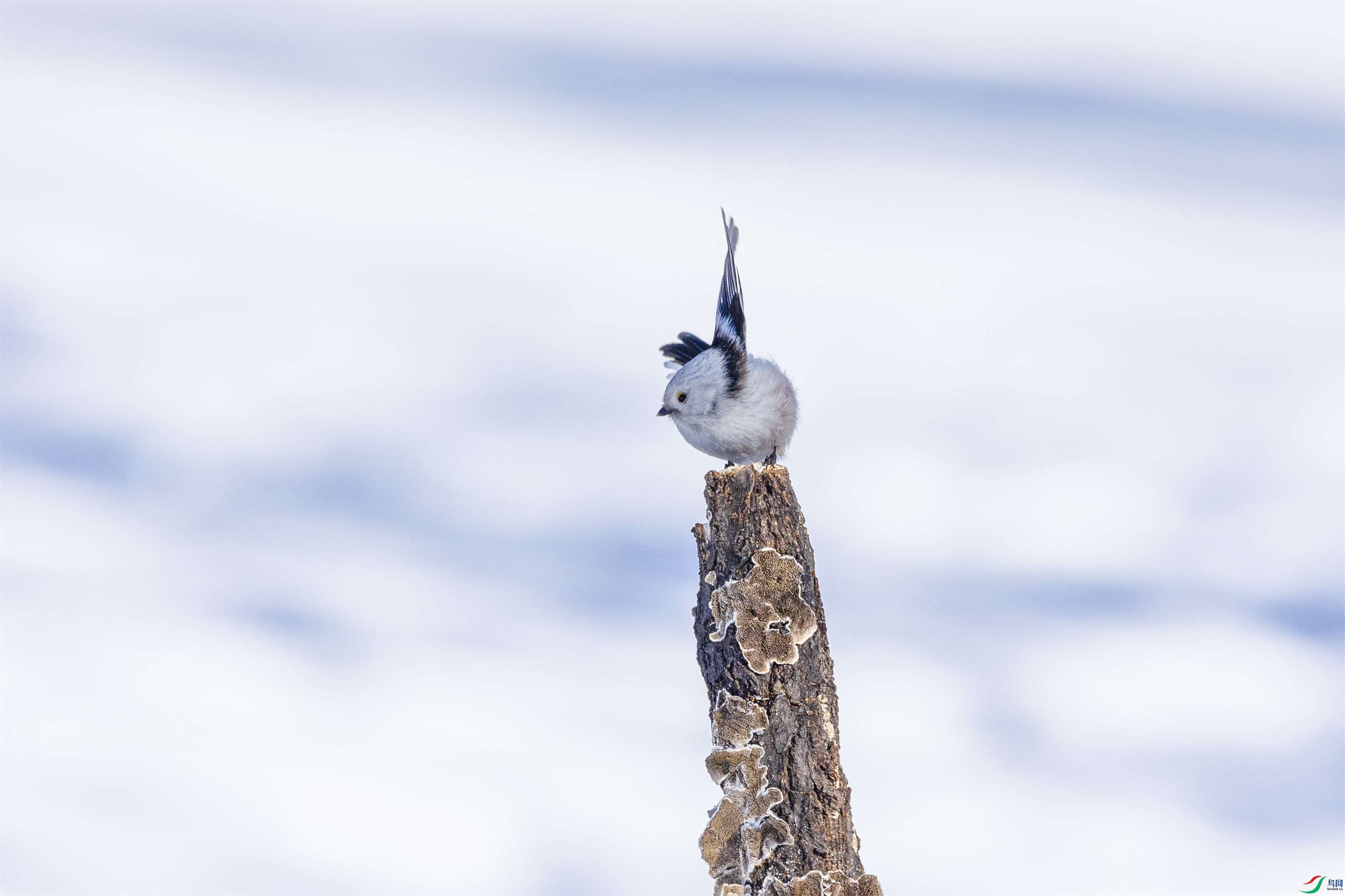 1K3A2818 ����1.jpg