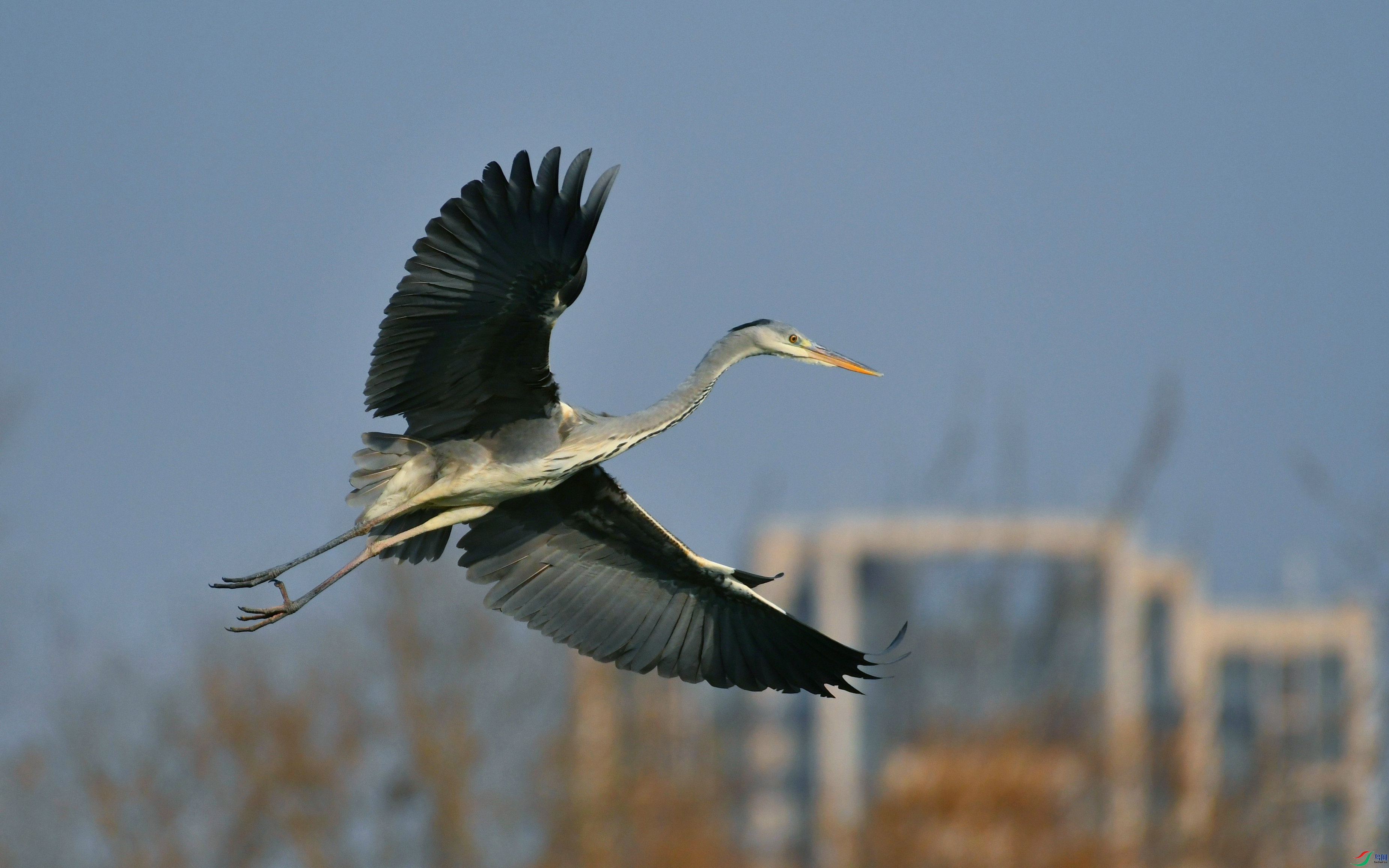 DSC_2112.JPG
