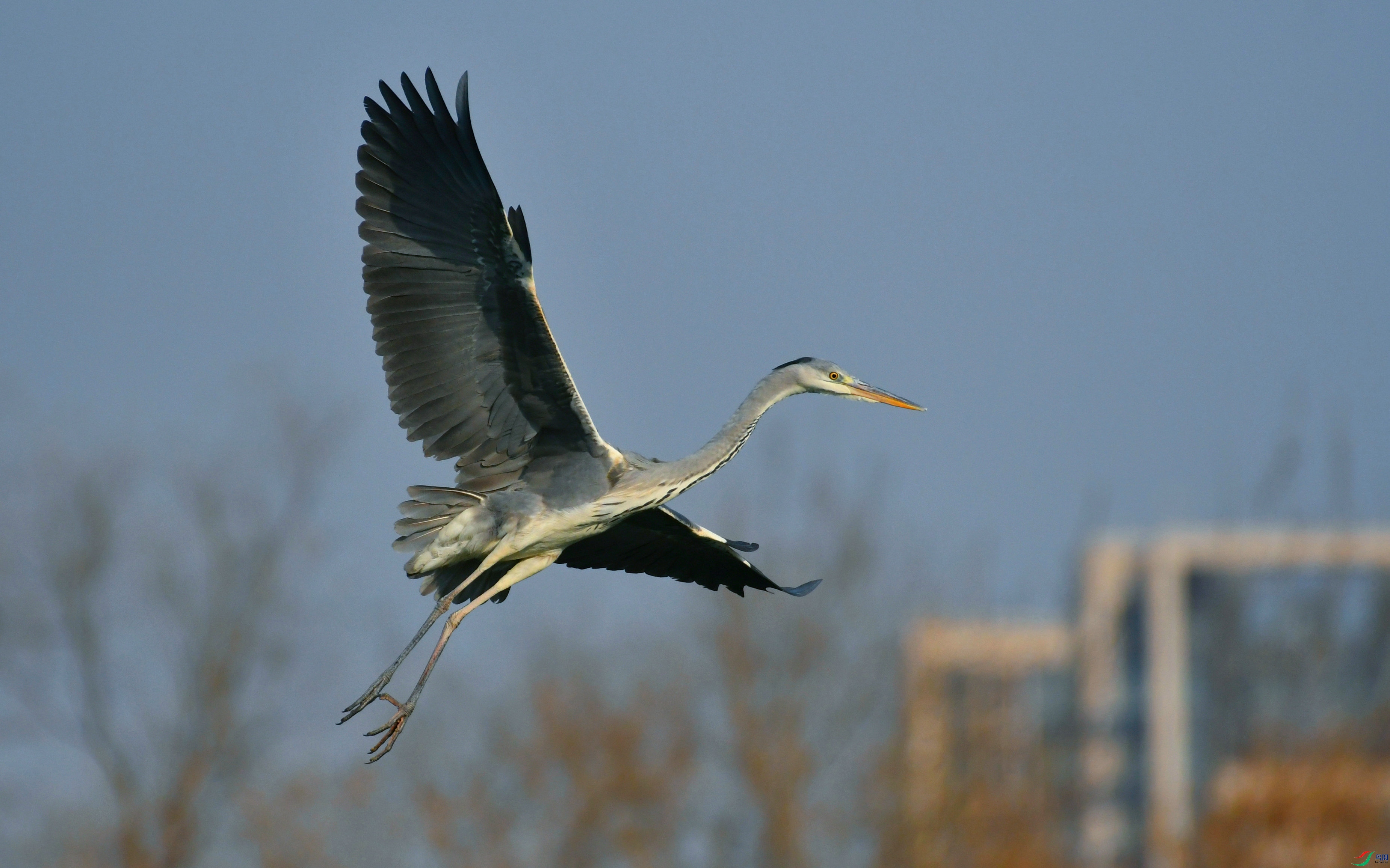 DSC_2111.JPG