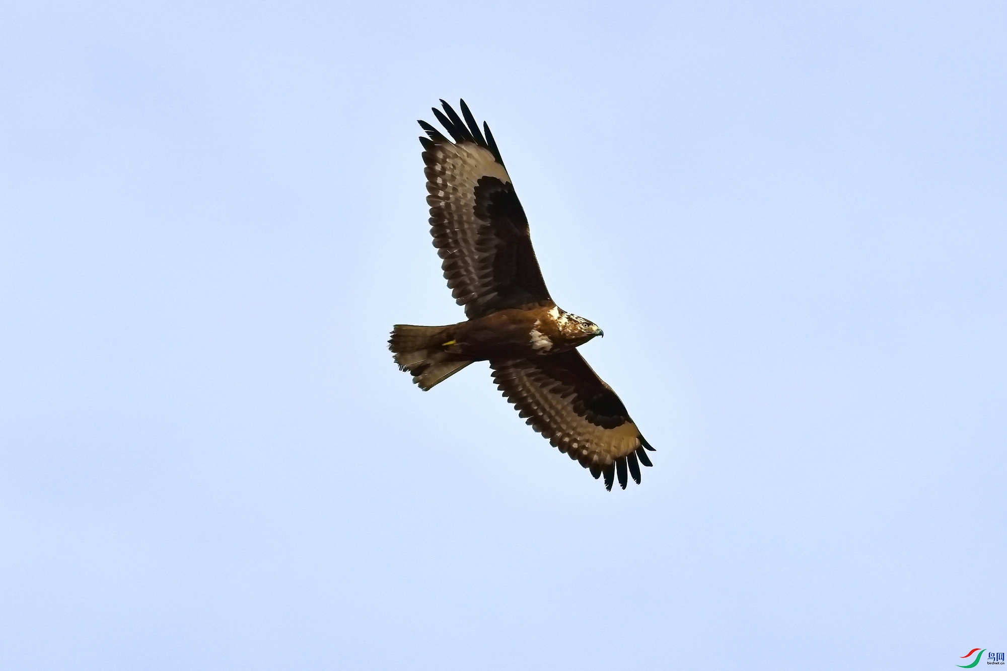 IMG_6365-1.JPG