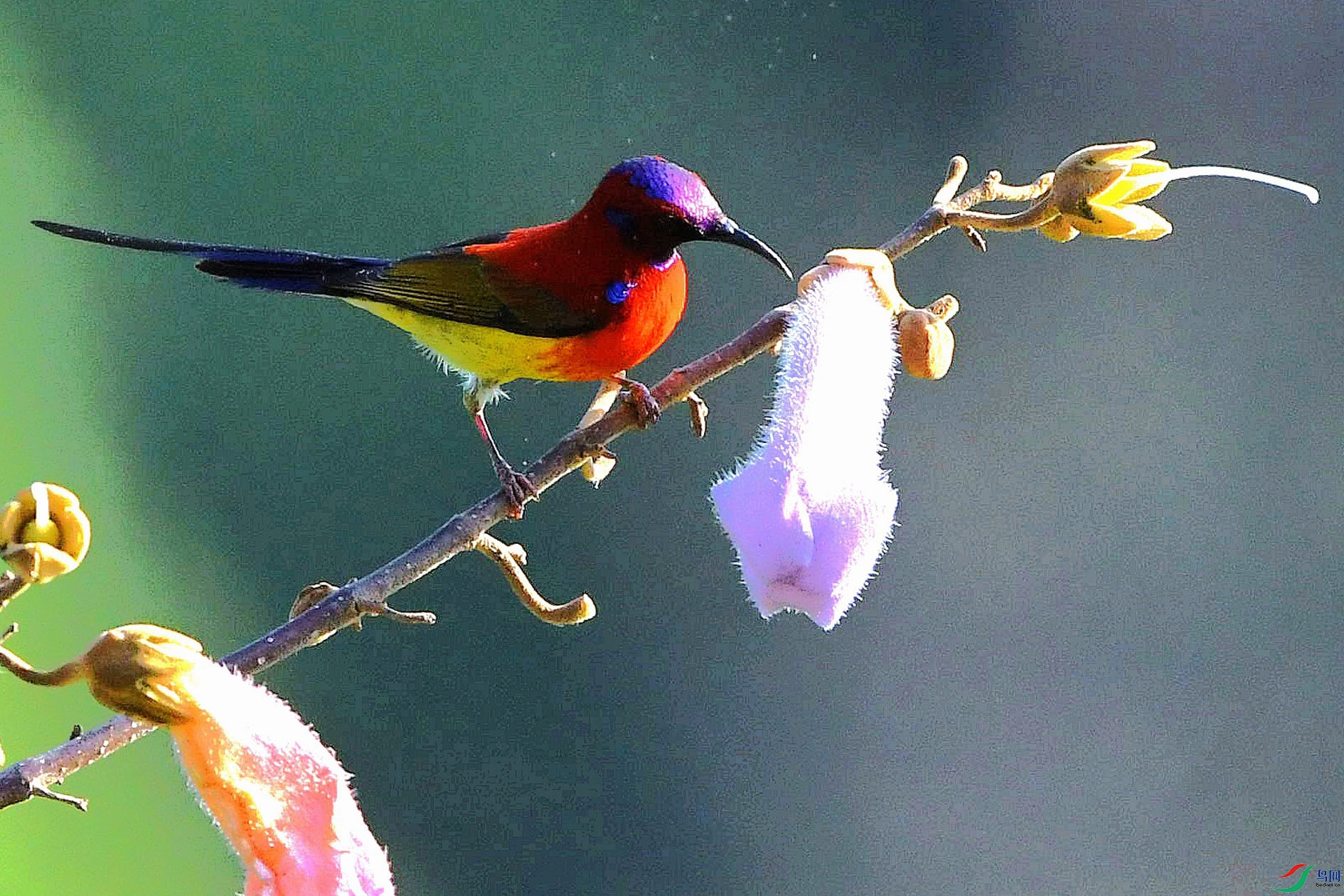 DSC_1936_����.jpg