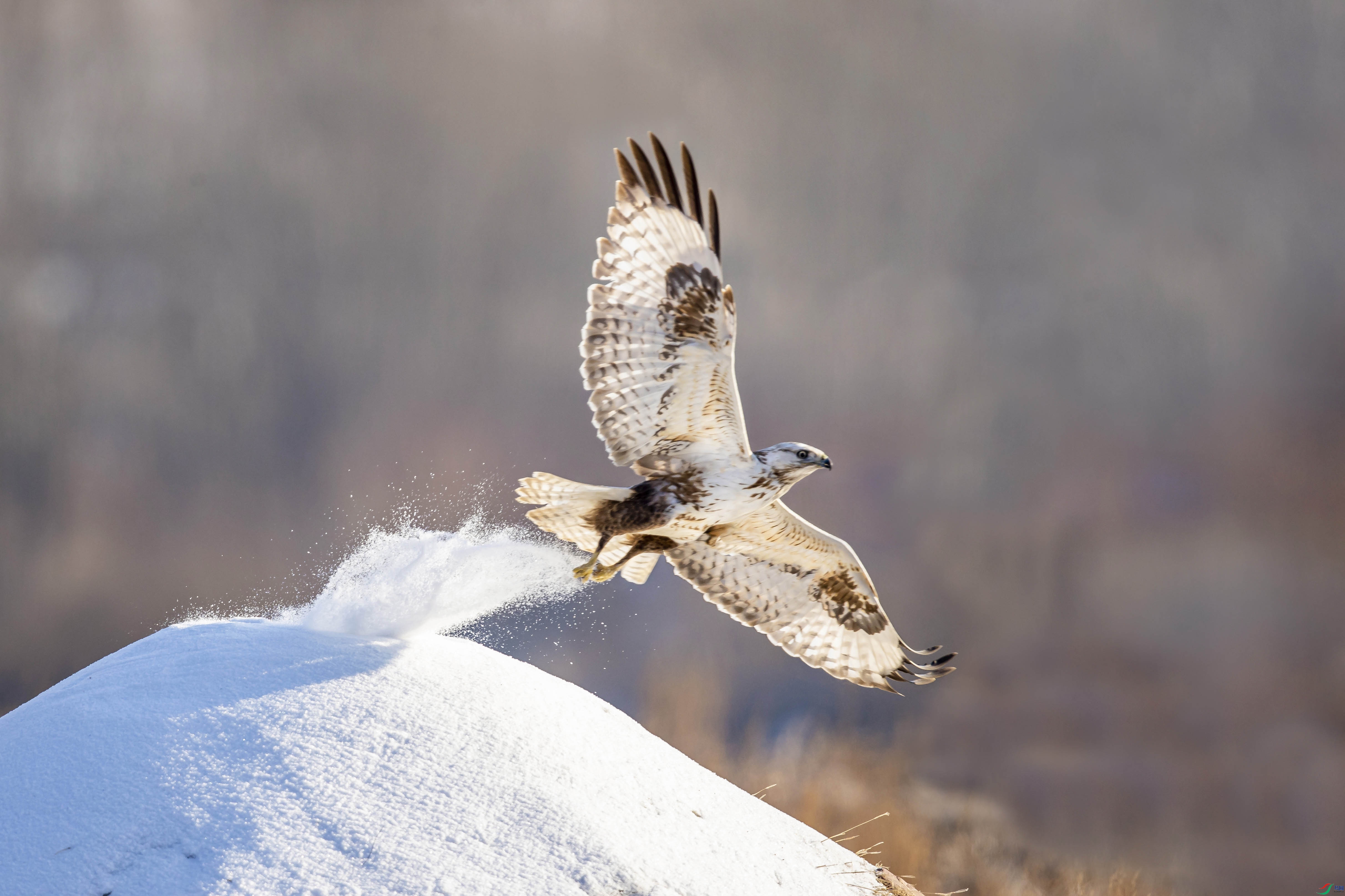 AN4I5585 ���� 5.jpg