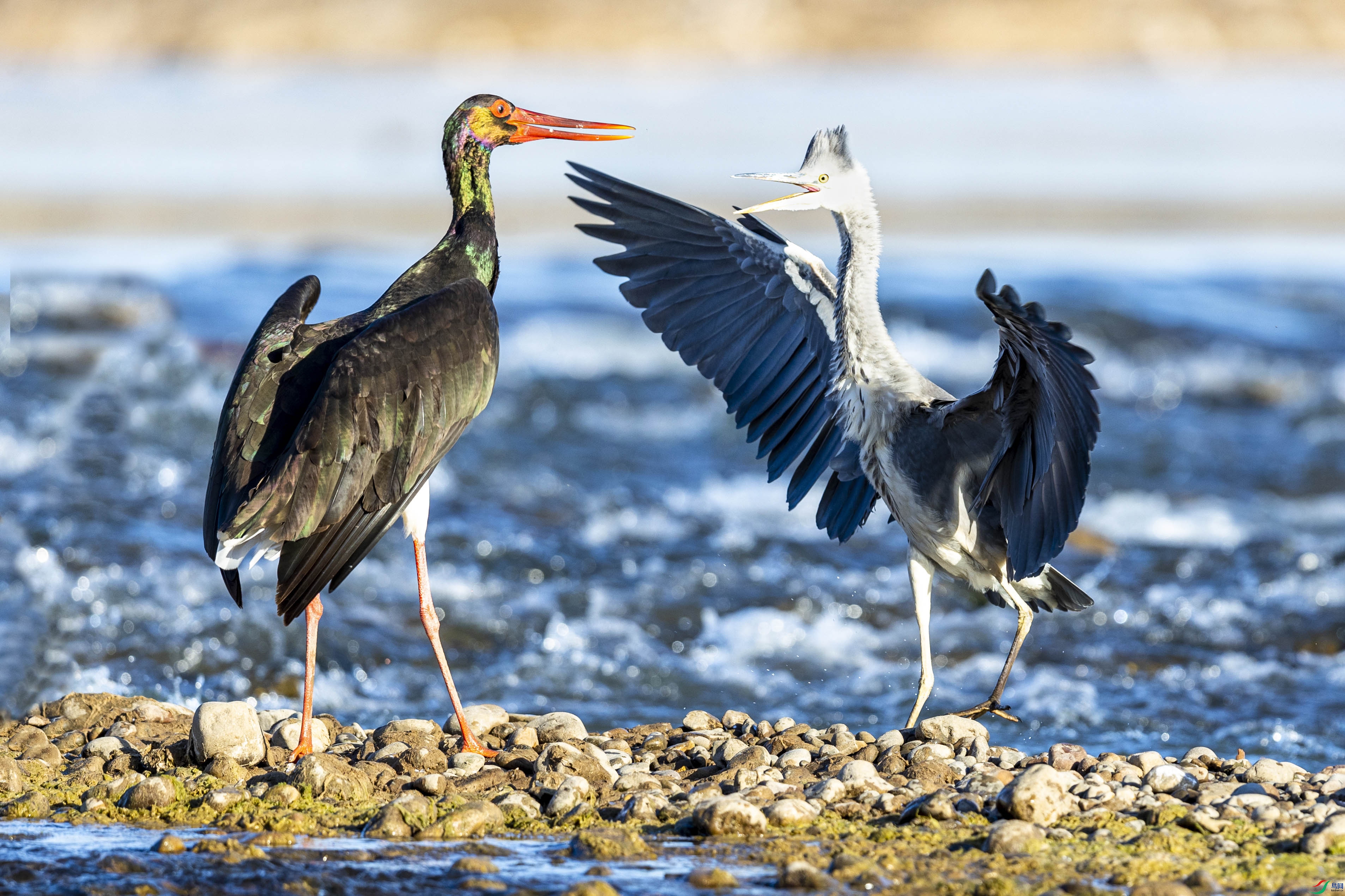 AN4I0884 ���� 2.jpg