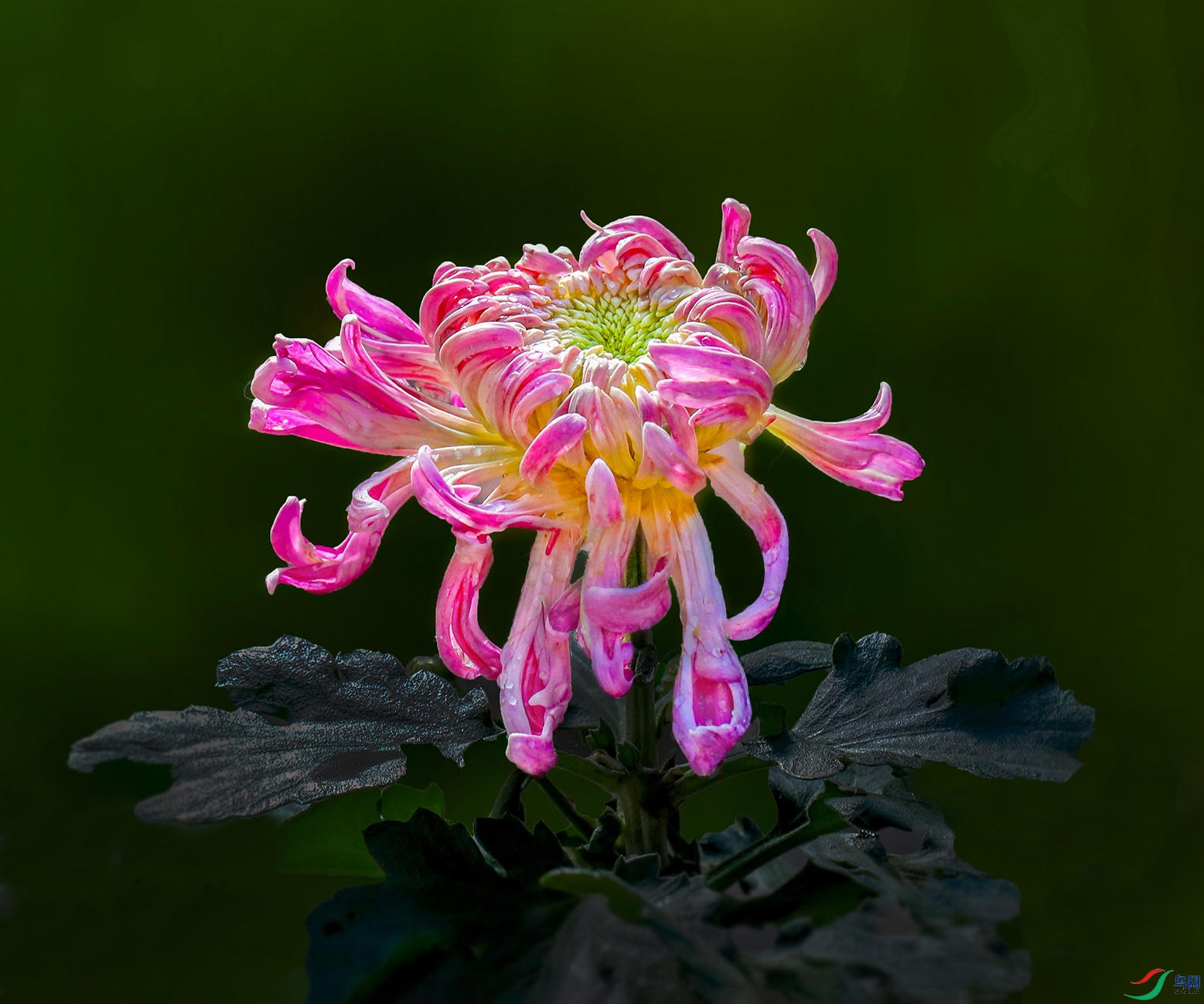 0000IMG_0916 ������ɏ 1000k.jpg