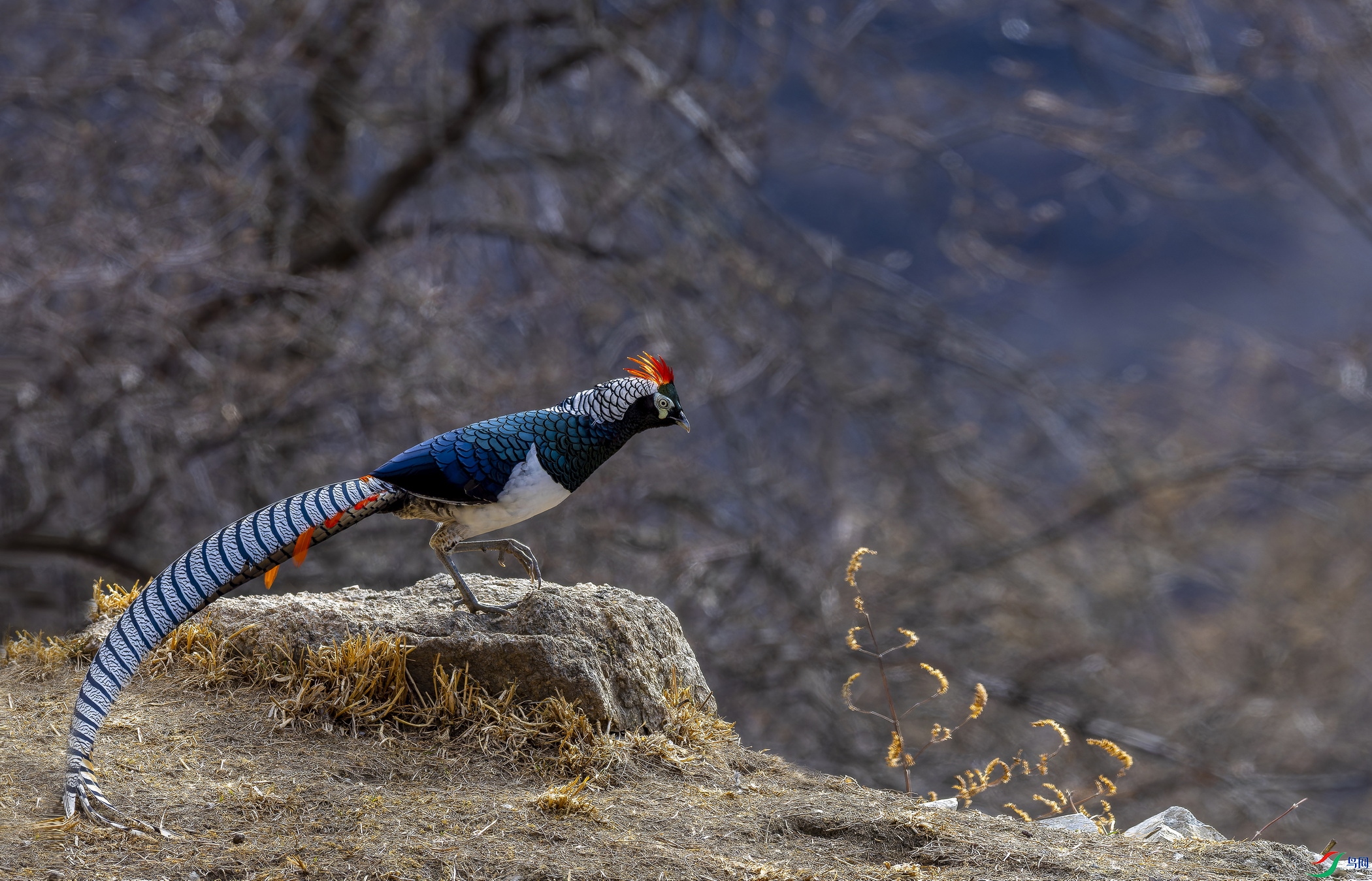 �׸����� (401)-1.jpg