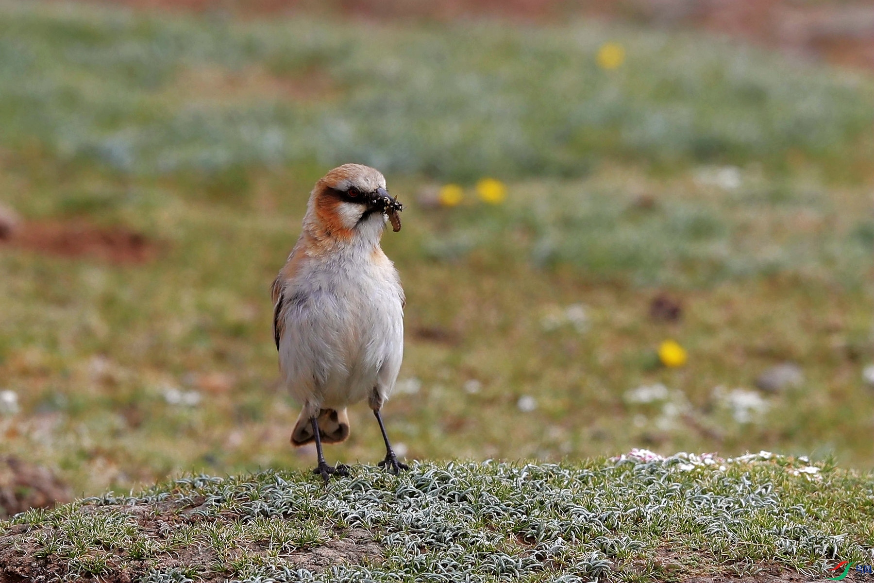 C38I3448_����.jpg