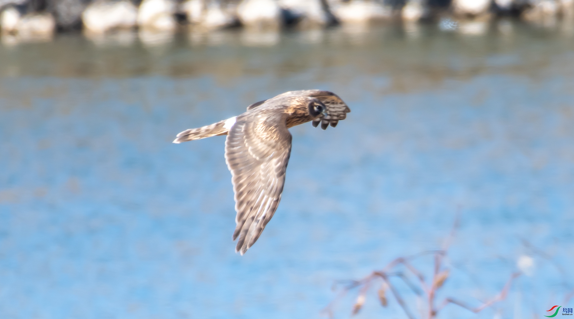 DSC_9991.jpg