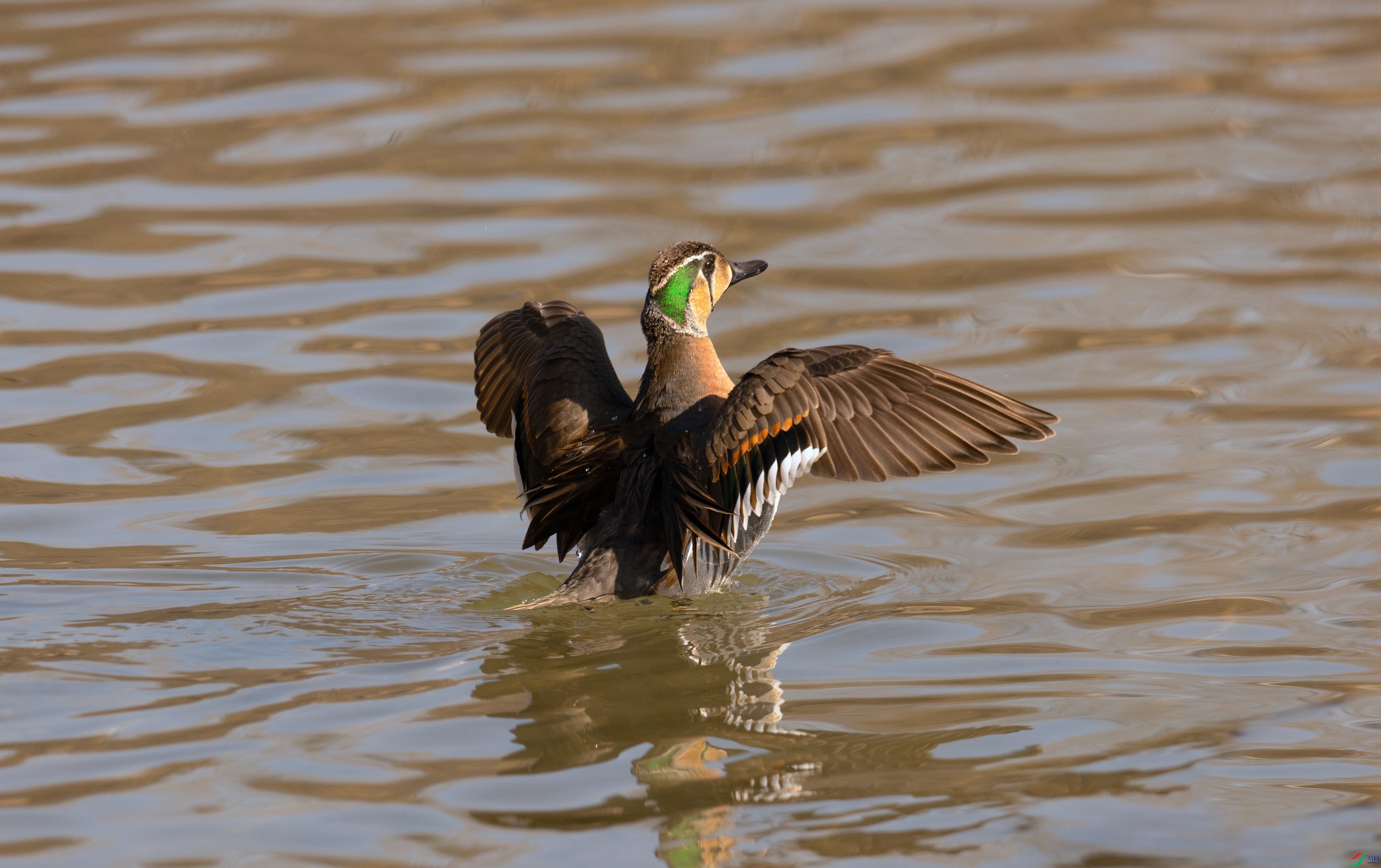 7X5A0638 - ����.jpg